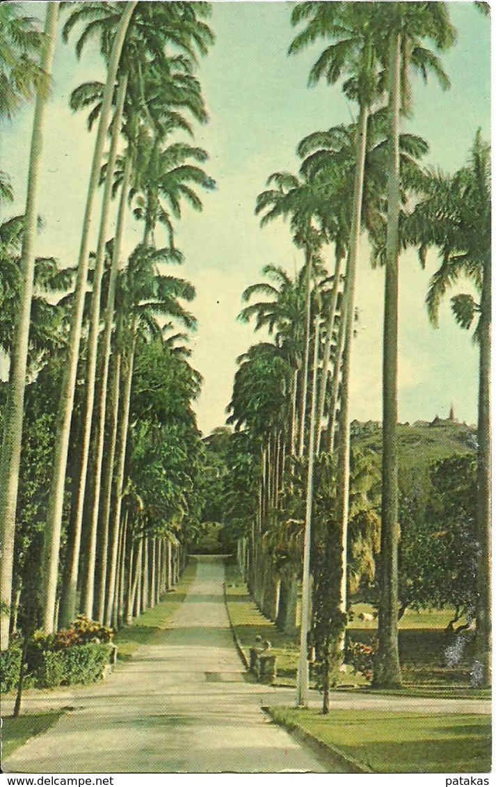 L 370 - Barbade- Entrance To Codrington College, St John - Autres & Non Classés