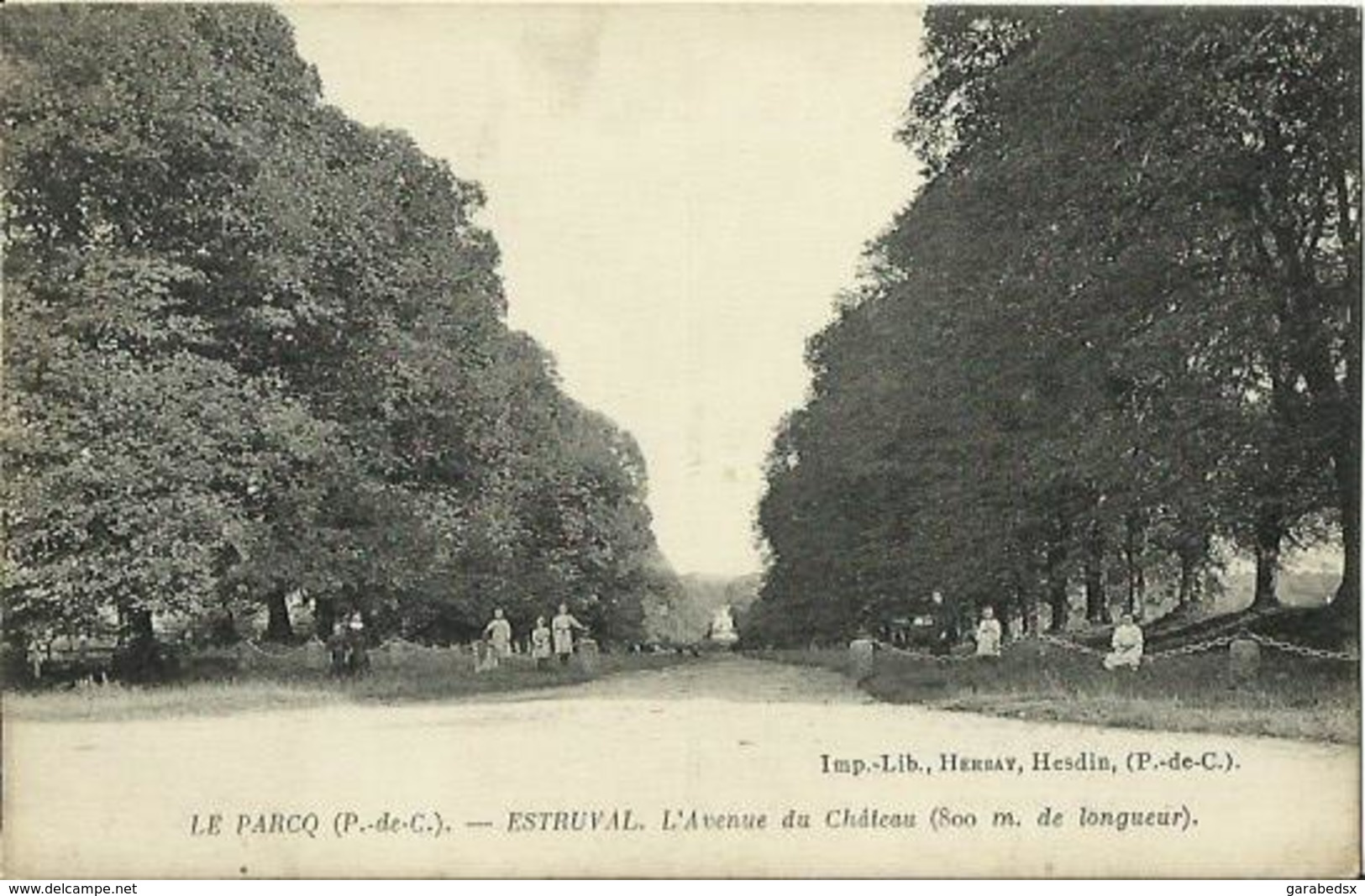 CPA De LE PARCQ - ESTRUVAL - L'Avenue Du Château. - Le Parcq