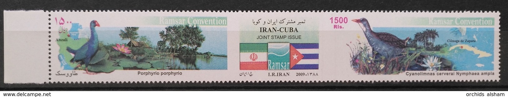 TS28 - Iran 2009  MNH Large Stamp (single Issue) -  Birds - Joint Issue With Cuba - Irán