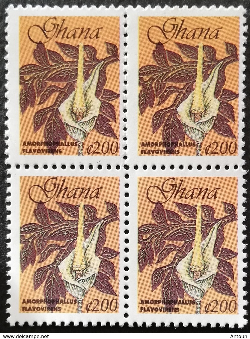 Ghana 1999 Definitive Block Of Four - Ghana (1957-...)