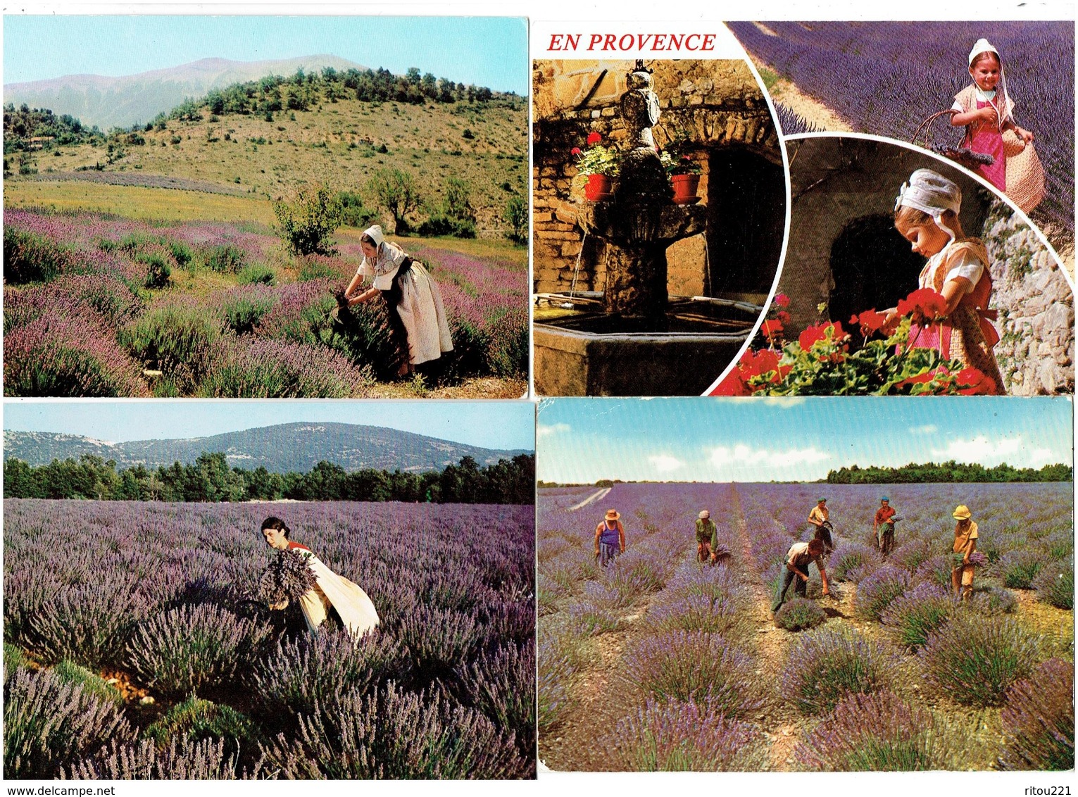 Lot 12 Cpm - Provence - Champ De Lavande Cueillette Serpe Faucille Bourras Coupeurs MONT VENTOUX MOUSTIERS - Fleurs