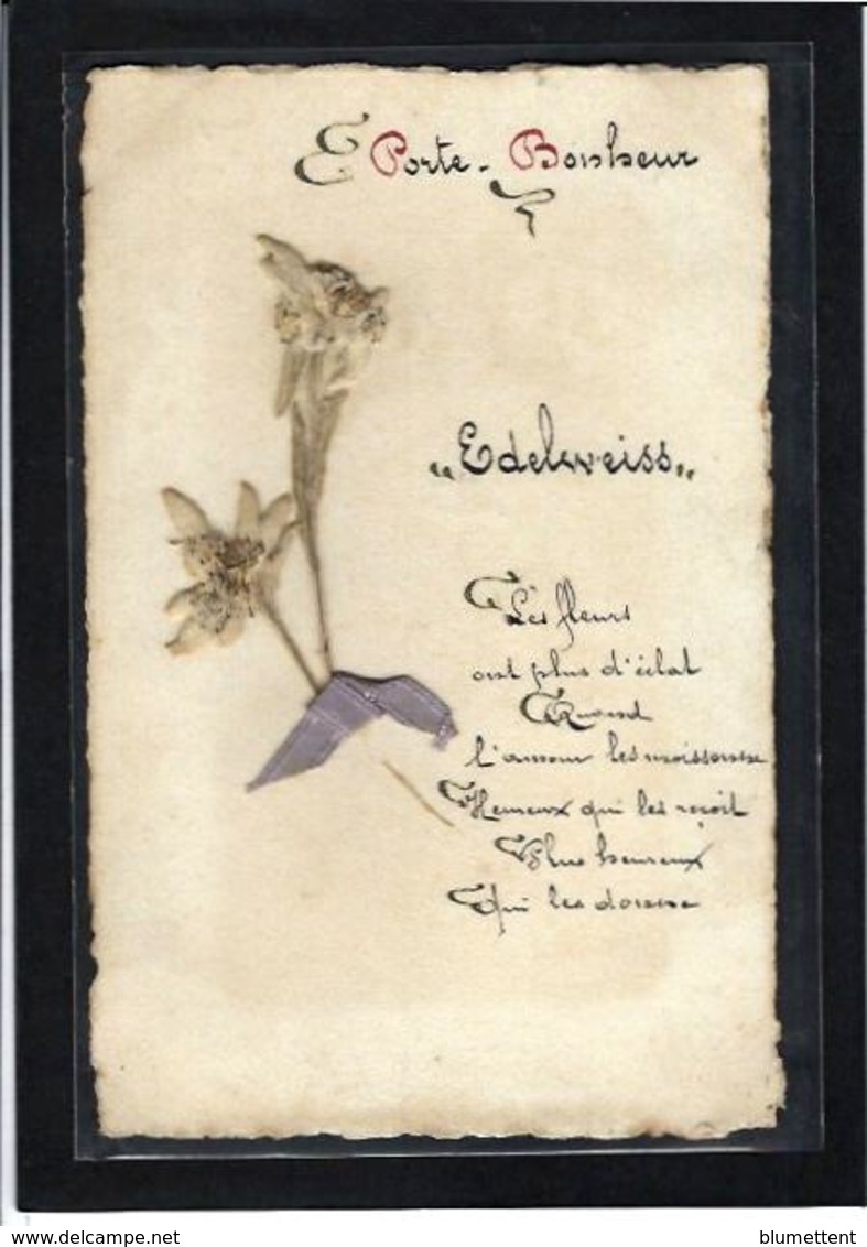 CPA Herbier Vraies Fleurs Séchées Naturelles En Relief Sur Carte Postale 9 X 14 écrite - Autres & Non Classés