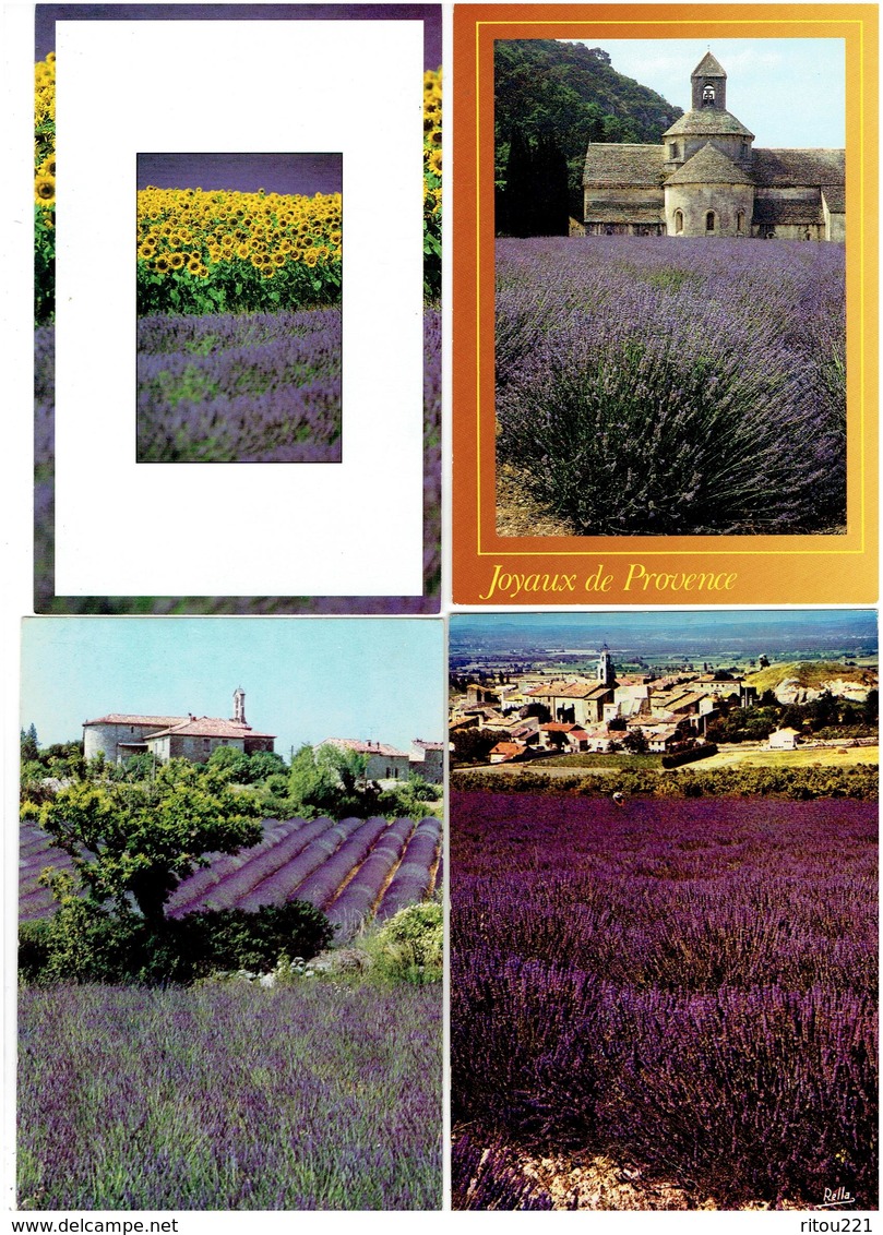 Lot 24 Cpm - Provence - Champ De Lavande -  Village Coupeuse Aiguines - Fleurs