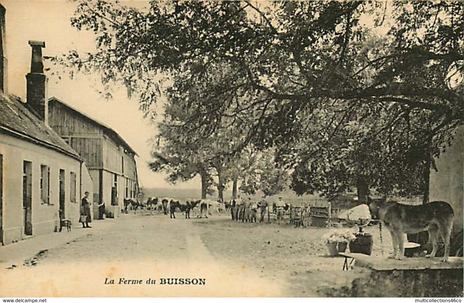 091218 - 72 La Ferme Du BUISSON - Chien Vache Scène Champêtre Paysan - Autres & Non Classés