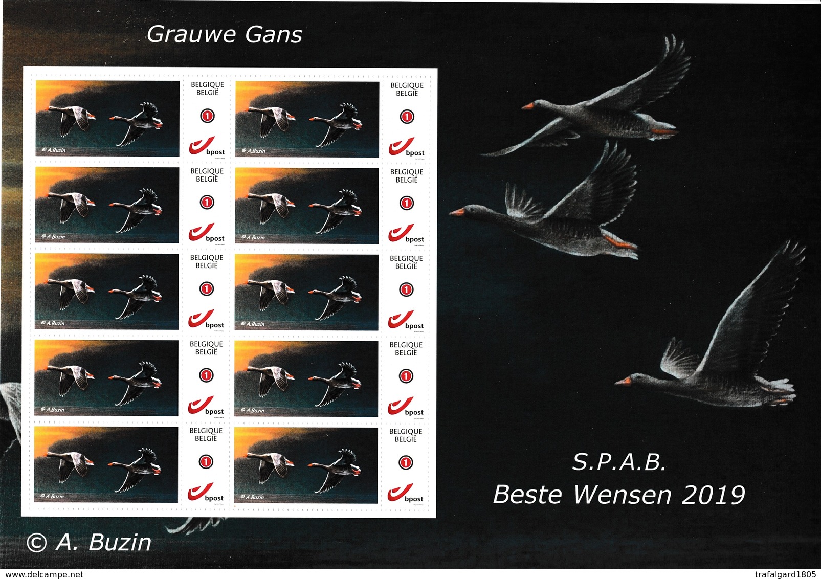 54.BUZIN.  OIE CENDREE - 1985-.. Oiseaux (Buzin)