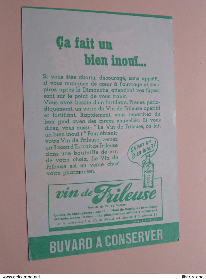 Fortifiant Vitaminé B1 à L'uvaria De Madagascar FRILEUSE ( +/- 13 X 20,5 Cm. ) Buvard ( Voir Photo ) ! - Drogheria