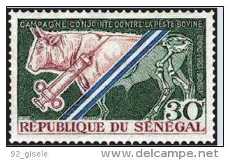 Senegal YT 312 " Contre La Lèpre Bovine " 1968 Neuf** - Sénégal (1960-...)