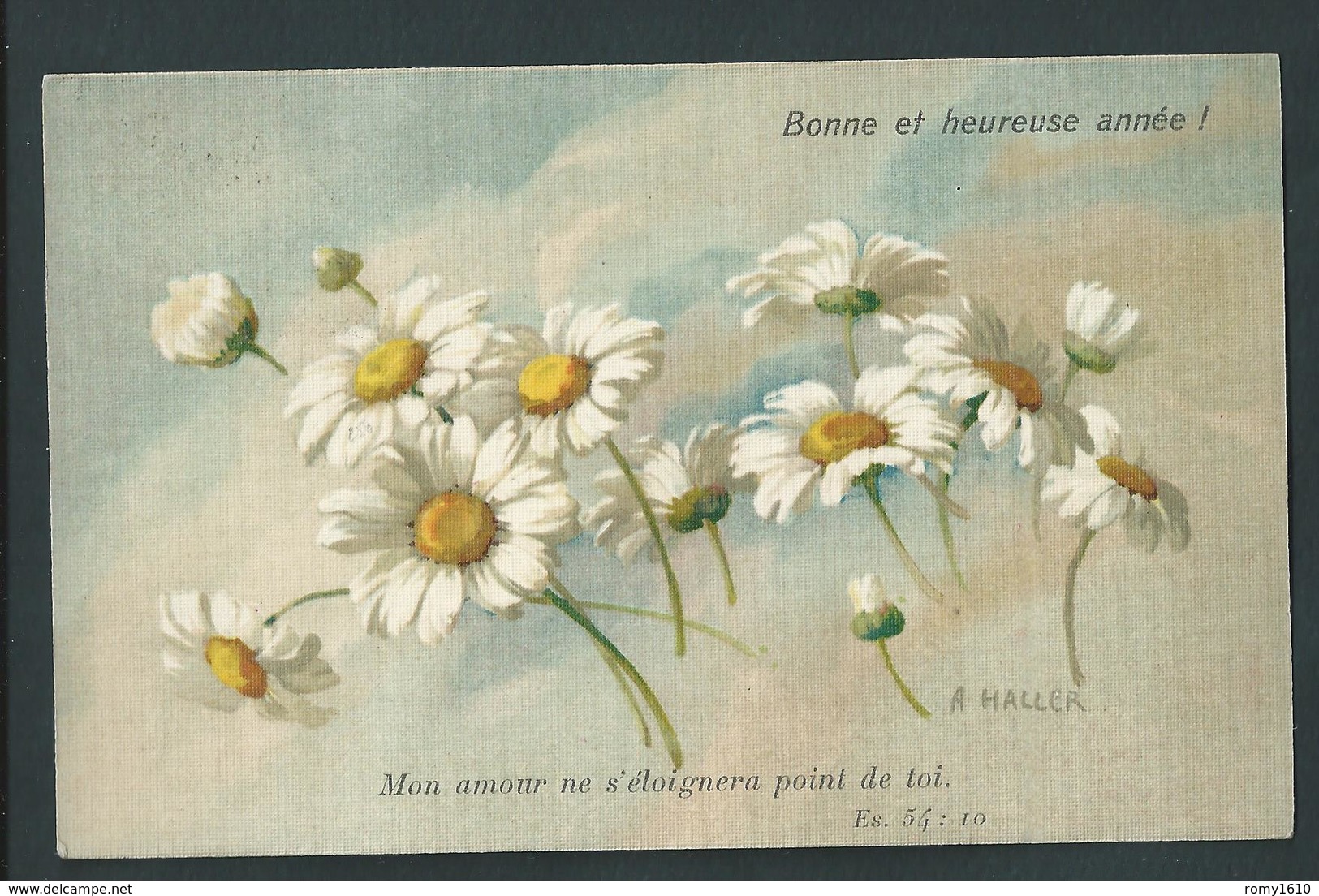 Anna Haller. Bonne  Et Heureuse Année! Avec Message D'Amour. Es. 54. Marguerites Blanches. - Haller, A.