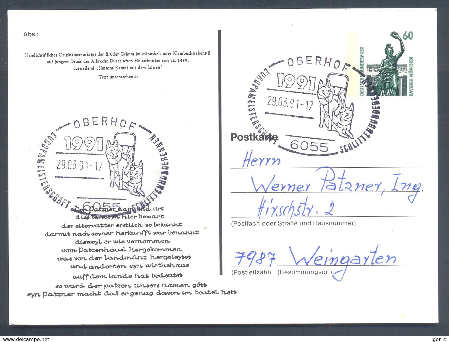 Germany 1991 Card: Sled Dog Hund Cien; Schlittenhunde; Hasky; European Championship Oberhof - Sonstige & Ohne Zuordnung