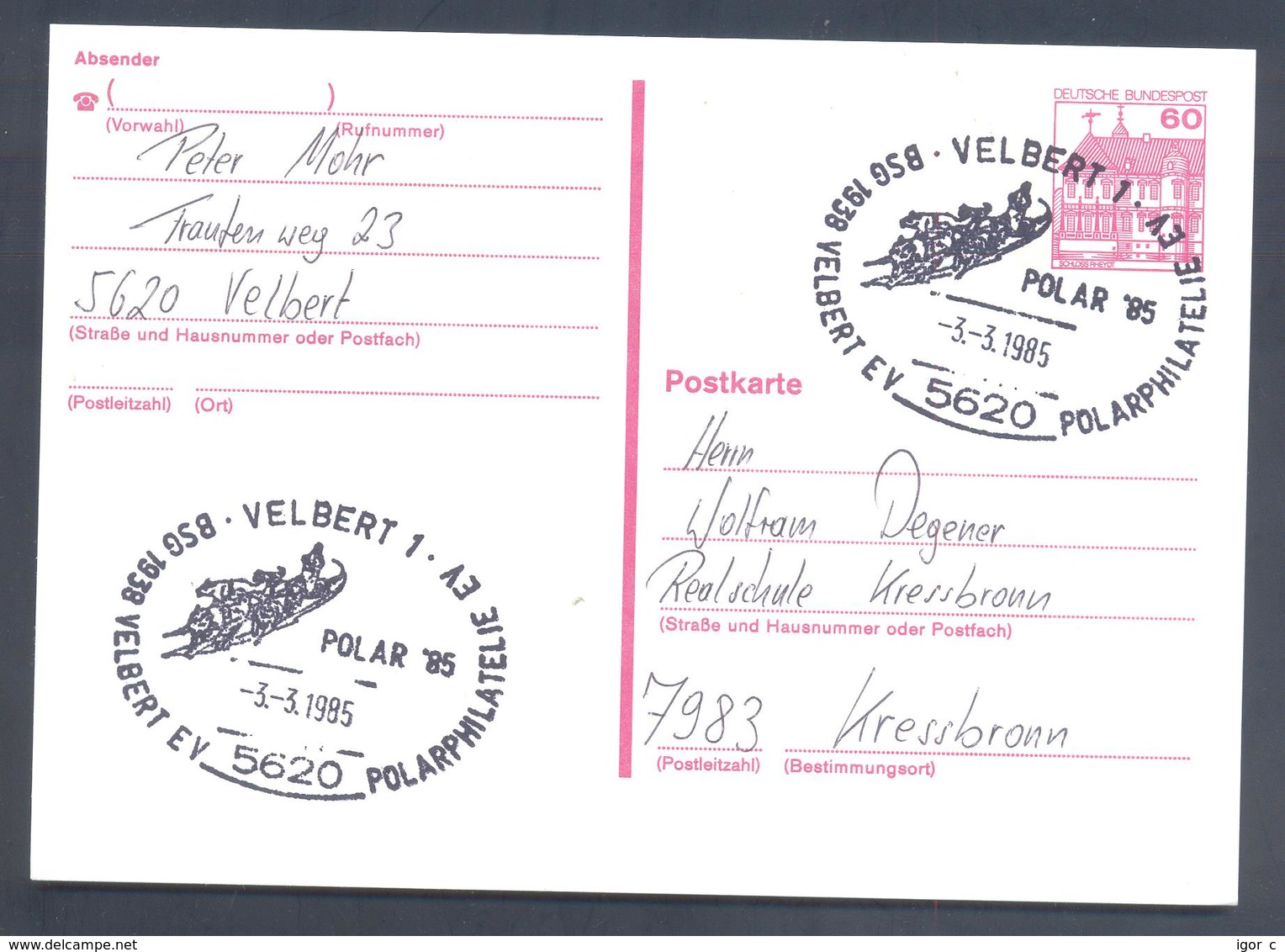 Germany 1985 Card: Sled Dog Hund Cien; Schlittenhunde; Hasky; Velbert - Polar 85 - Autres & Non Classés