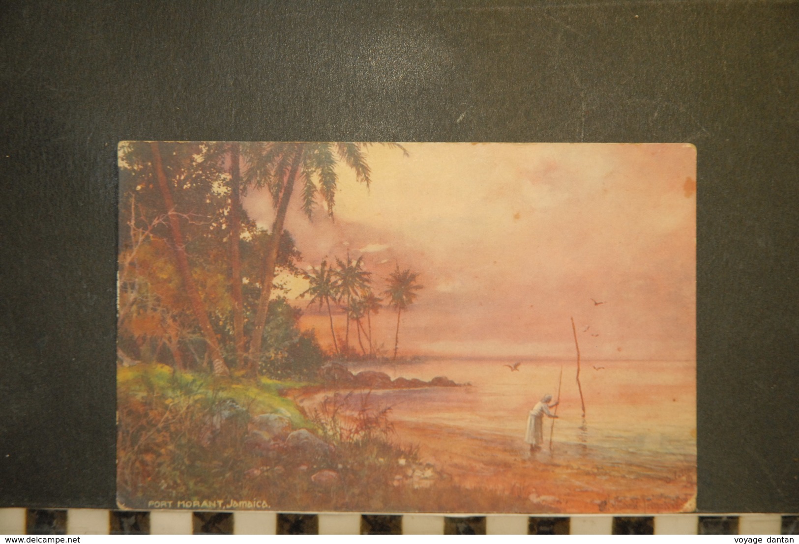 CP, Amérique, Antilles, JAMAIQUE Port Morant Jamaica Edition Raphael TUCK's Postcard OILETTE - Jamaica
