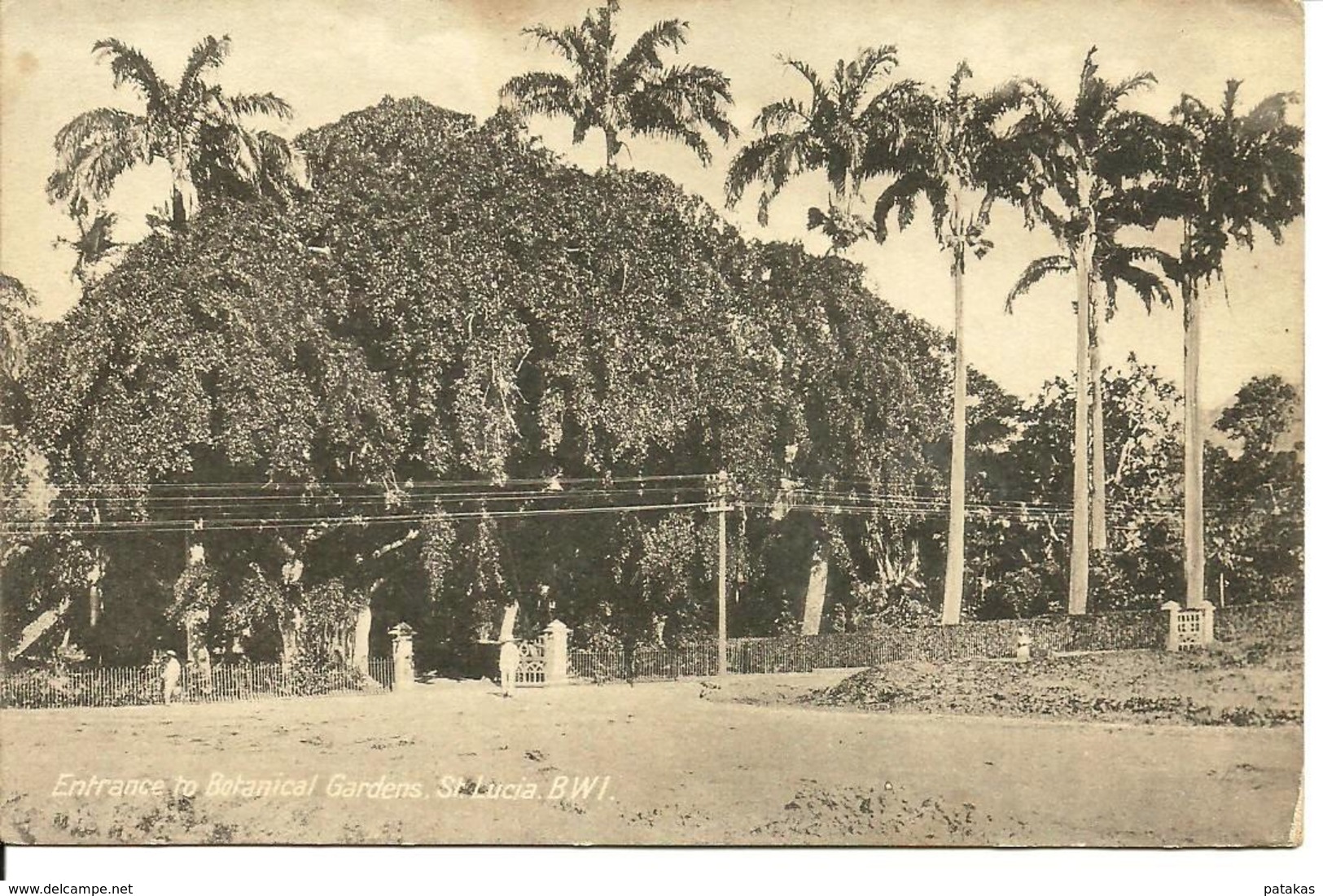 L 383 - Sainte Lucie - St Lucia - Entrance To Botanical Gardens - Autres & Non Classés