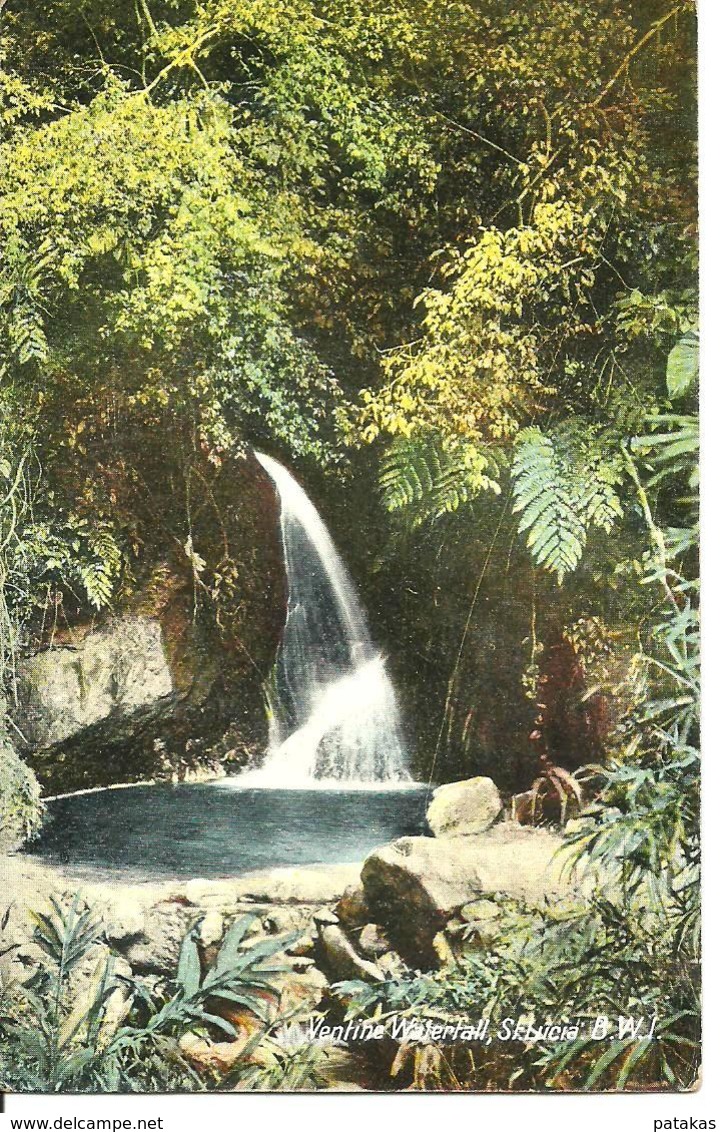 L 385 - Sainte Lucie - St Lucia - Ventine Waterfall - Autres & Non Classés