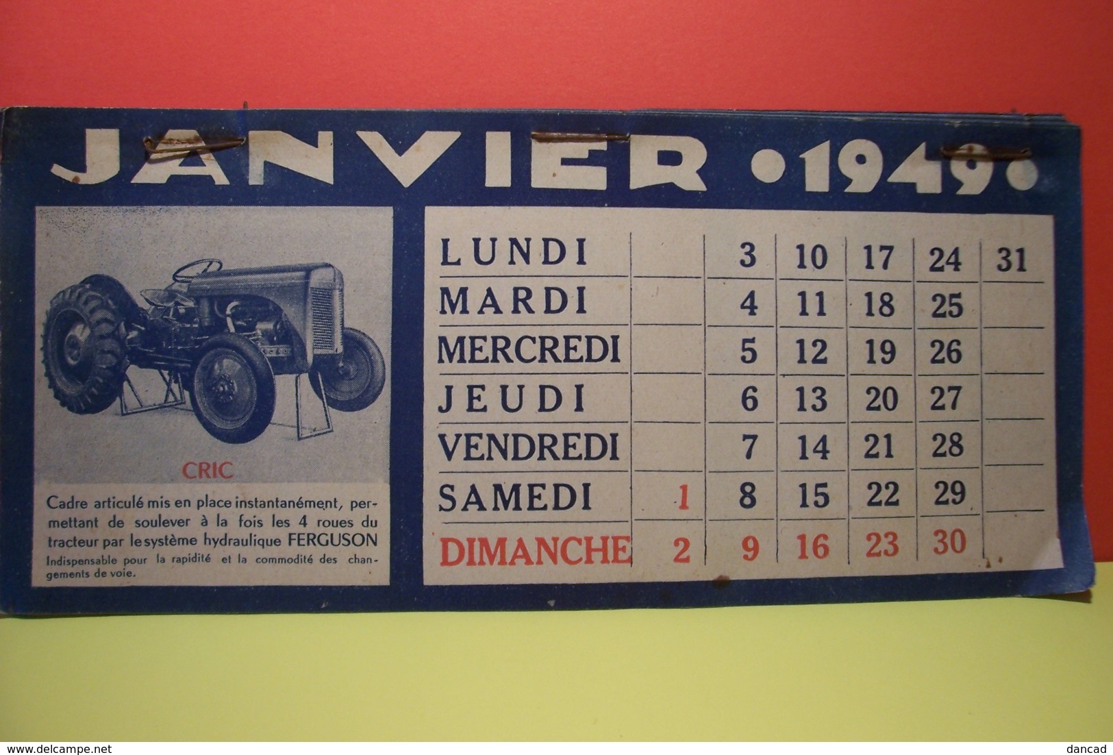 AGRICULTURE  -  CALENDRIER   FERGUSON  1949 - Small : 1941-60