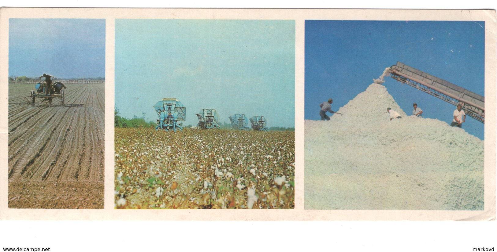 Soviet Uzbekistan Fergana Cotton Harvesting PC Long Format - Ouzbékistan