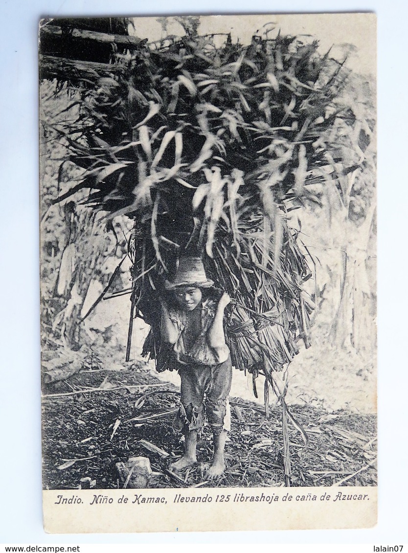 C.P.A. : Guatemala : Indio, Nino De Xamac, Llevando 125 Librashoja De Cana De Azucar - Guatemala