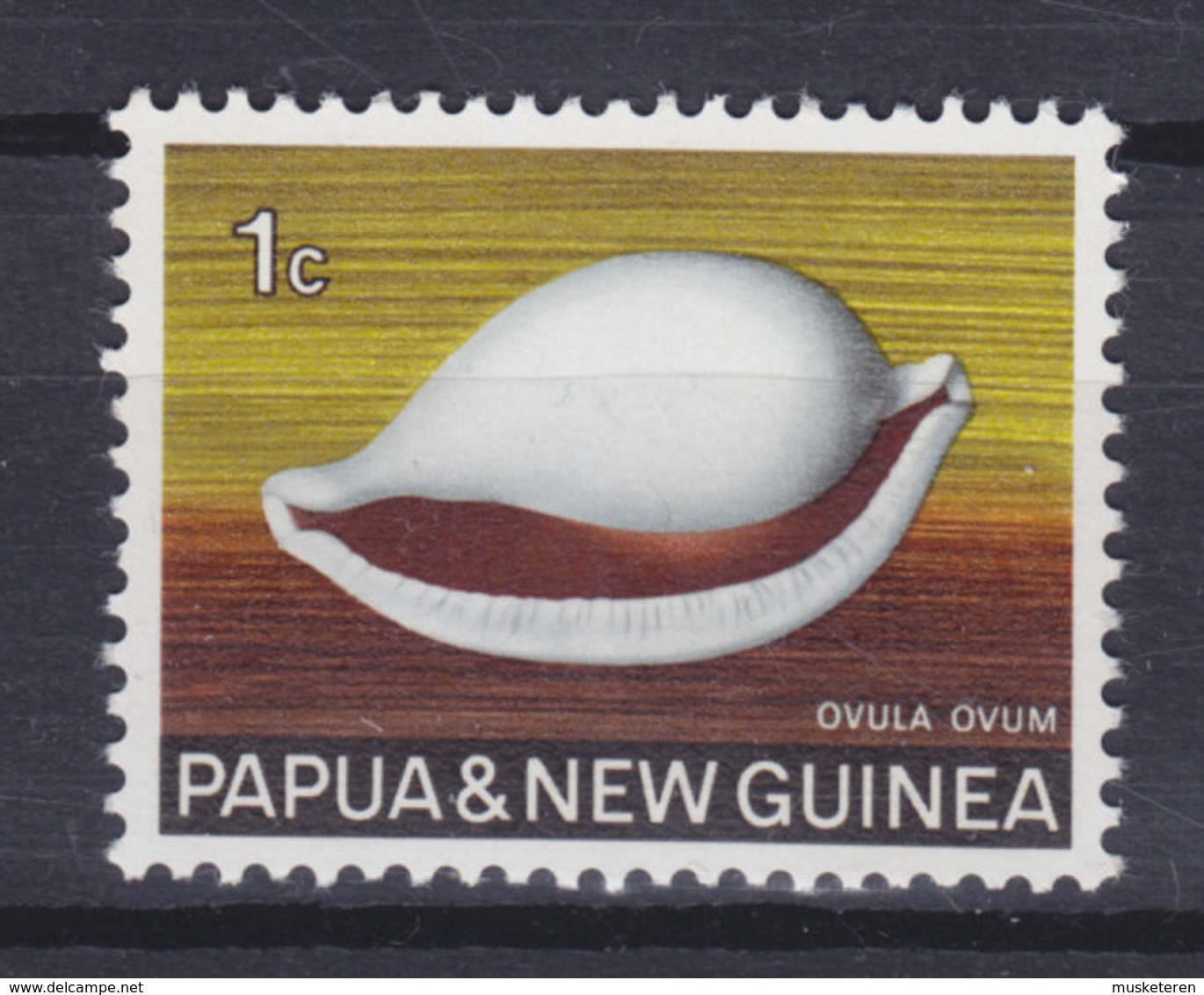 Papua New Guinea 1969 Mi. 139  1c. Meeres Schnecke Shell MNH** - Papouasie-Nouvelle-Guinée