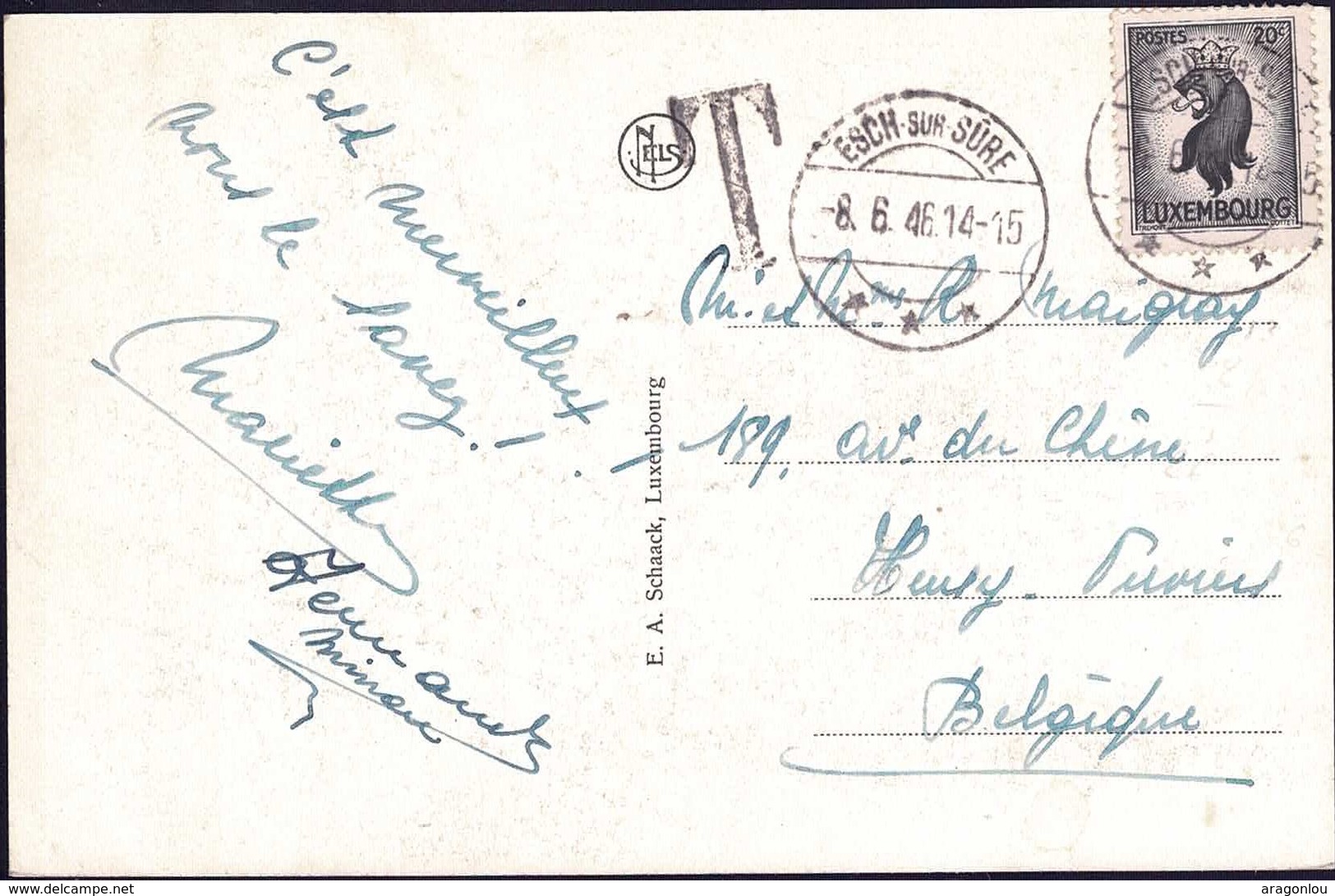 Carte Postale Taxe Cachet Esch-sur-Sûre 8.6.1946  Michel: 388 Lion Noir 20c.  2Scans - Taxes