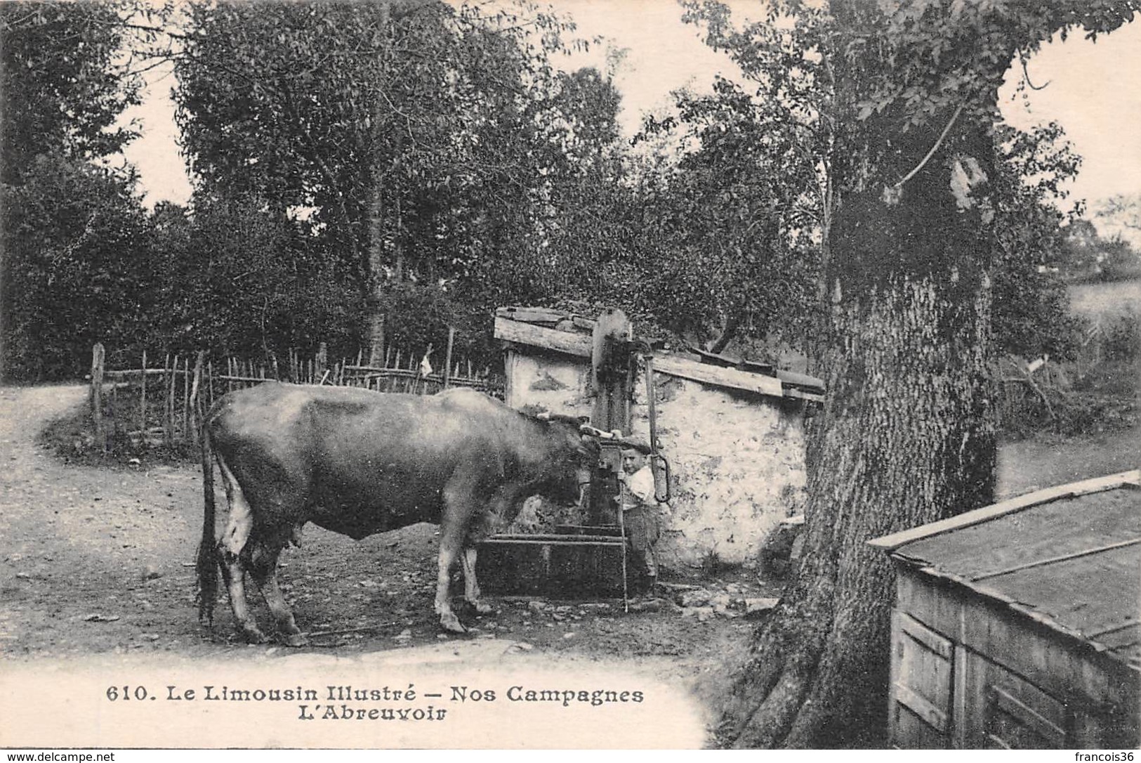 Limousin (87) - Nos Campagnes - L'Abreuvoir - Autres & Non Classés