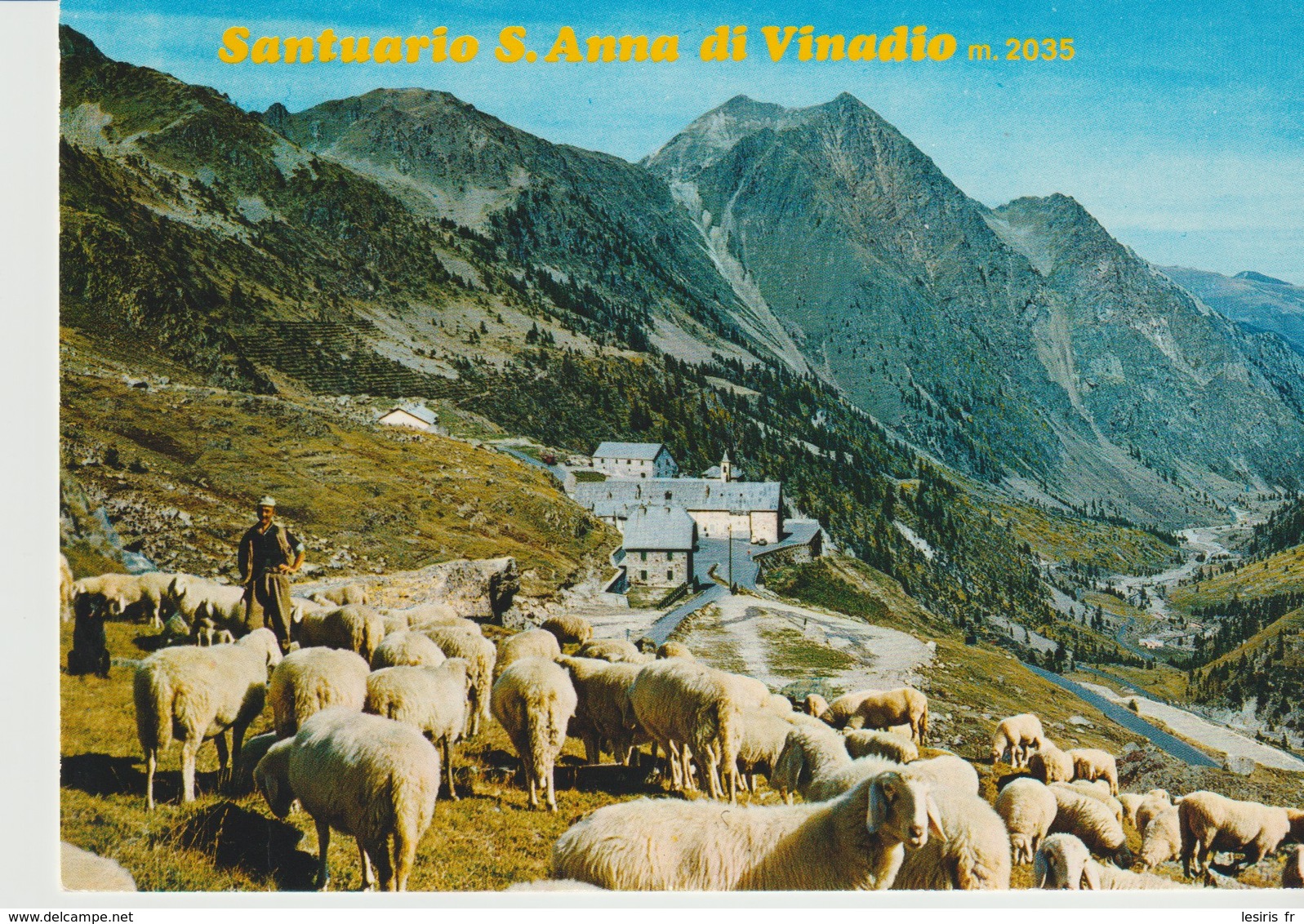 CPA - PHOTO - SANTUARIO S. ANNA DI VINADIO - 167 - TROUPEAU DE MOUTONS AVEC SON BERGER - Autres & Non Classés