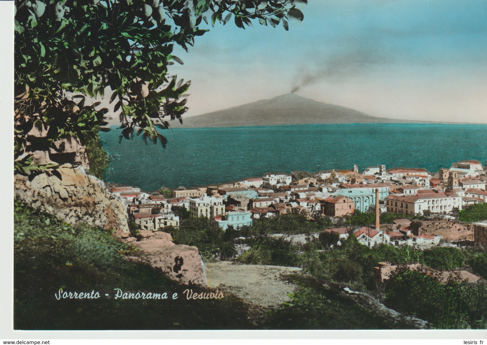 CPA - PHOTO - SORRENTO - PANORAMA E VESUVIO - 3946 - GUGLIELMO DI MAIO - Autres & Non Classés