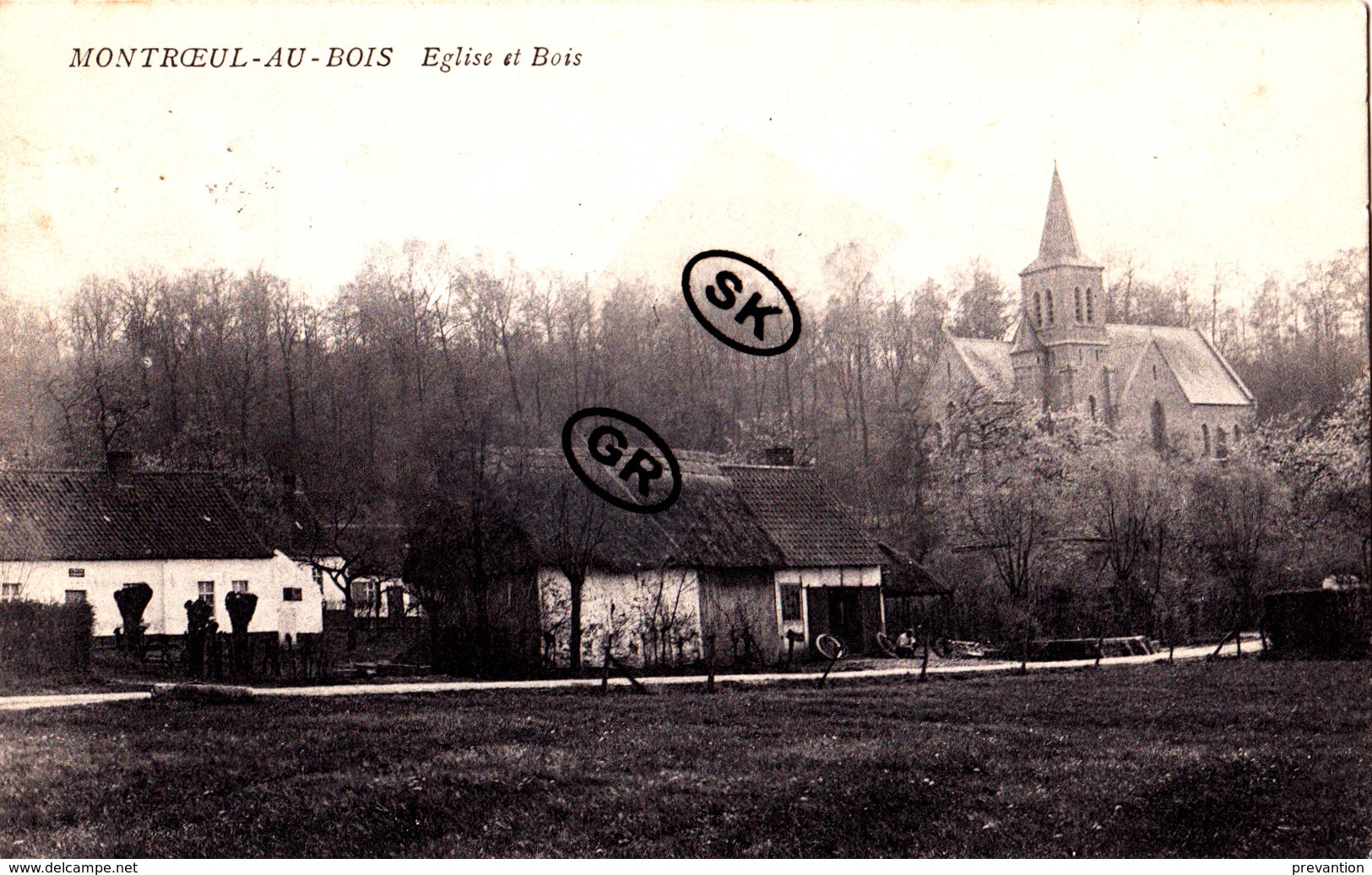 MONTROEUL-AU-BOIS - Eglise Et Bois - Frasnes-lez-Anvaing