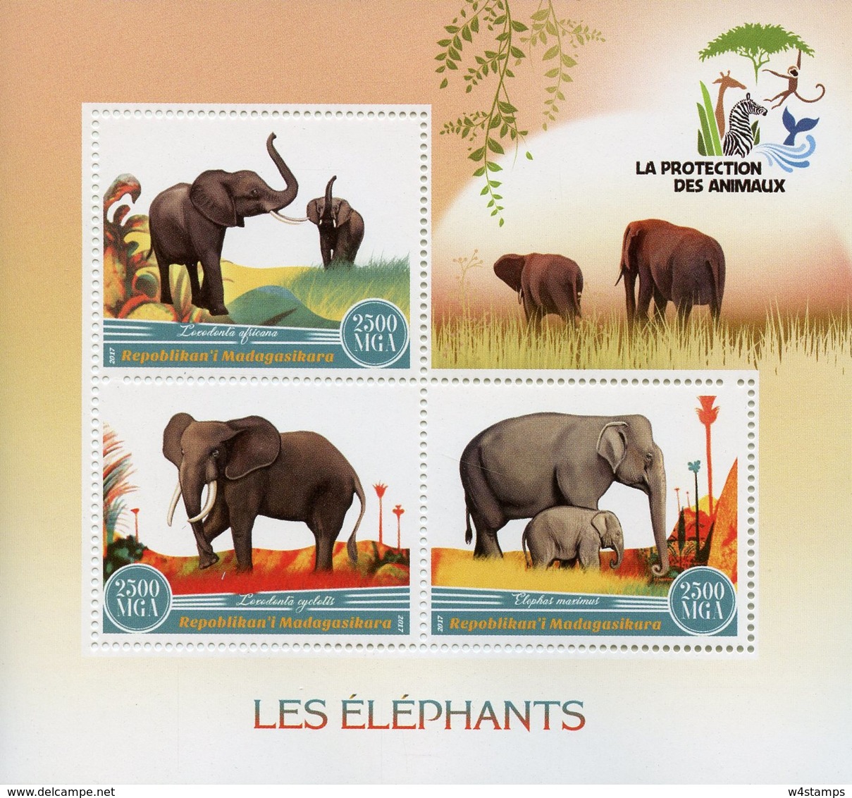 Madagascar 2017 MNH Elephants Elephant 3v M/S Mammals Wild Animals Stamps - Elephants