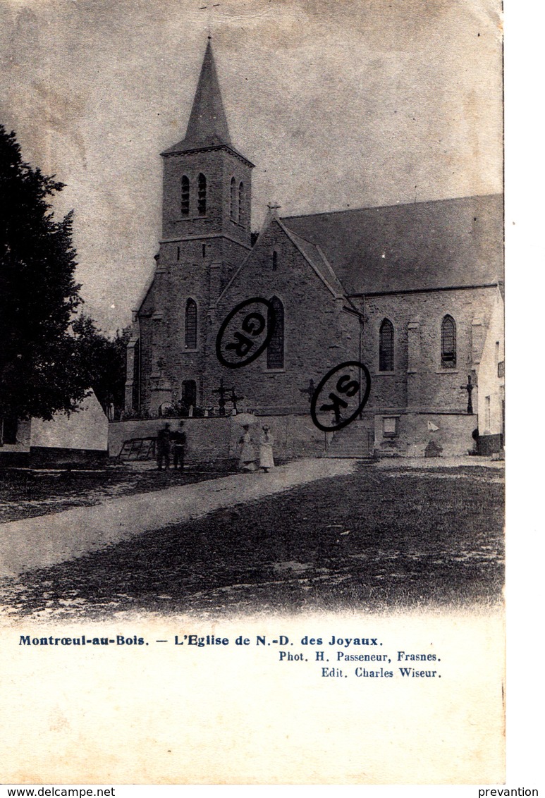MONTROEUL-AU-BOIS - L'Eglise De N.-D Des JOYAUX - Frasnes-lez-Anvaing