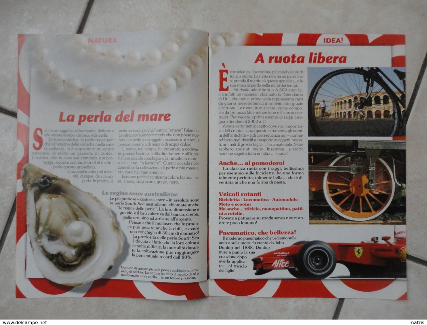 Conoscere Insieme - Opuscolo - Un Mondo Tutto Tondo - IL GIORNALINO - Other Book Accessories