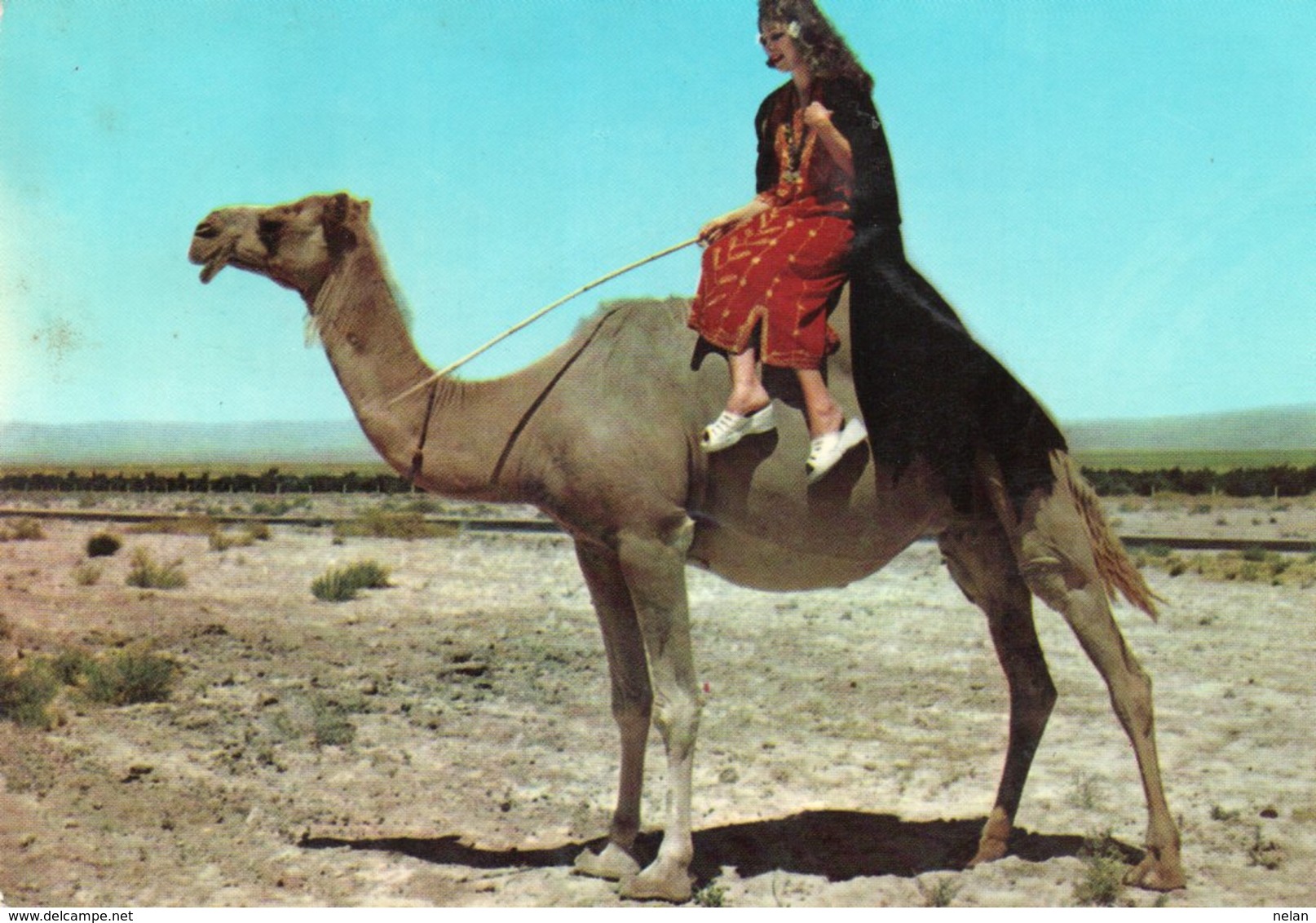 ARABIAN DESERT-COSTUMES-SYRIE-ALEP - Kostums