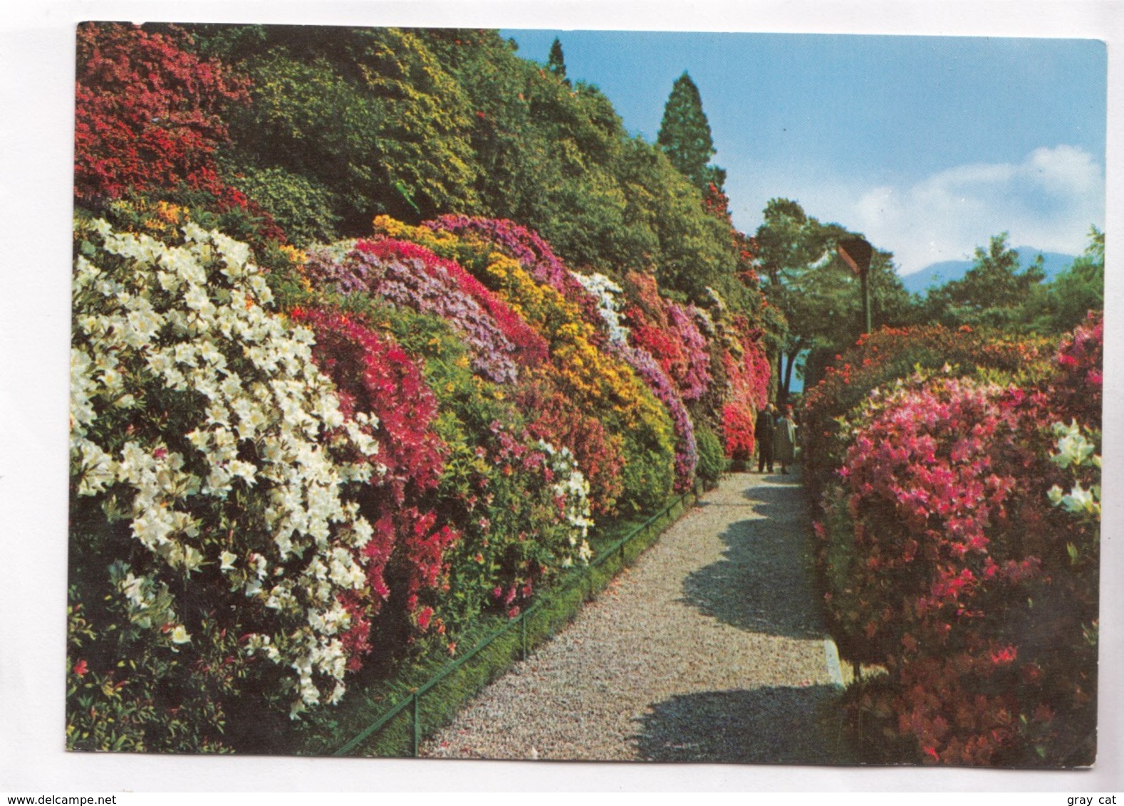 LAGO DI COMO, Villa Carlotta, Viale Delle Azallee, Italy, Used Postcard [22367] - Como