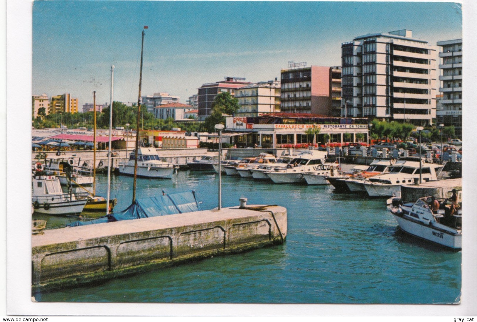 RICCIONE, Darsena E Alberghi, Docks And Hotels, Italy, 1981 Used Postcard [22368] - Rimini