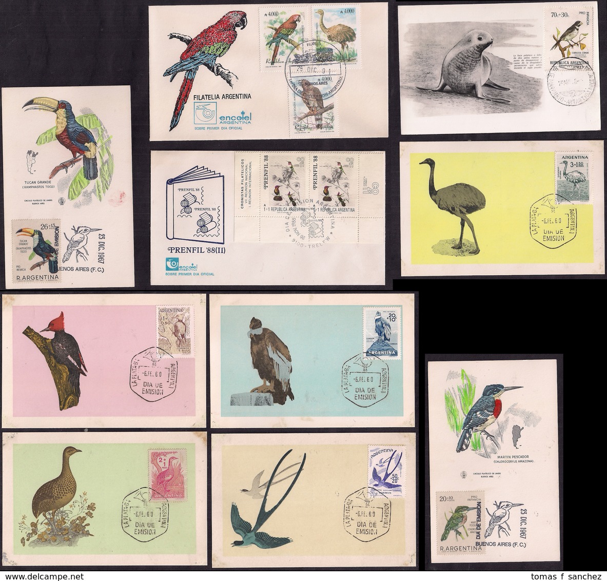 Argentina - FDC - Maximun Cartes - Oiseaux D'Argentine - Collections, Lots & Series