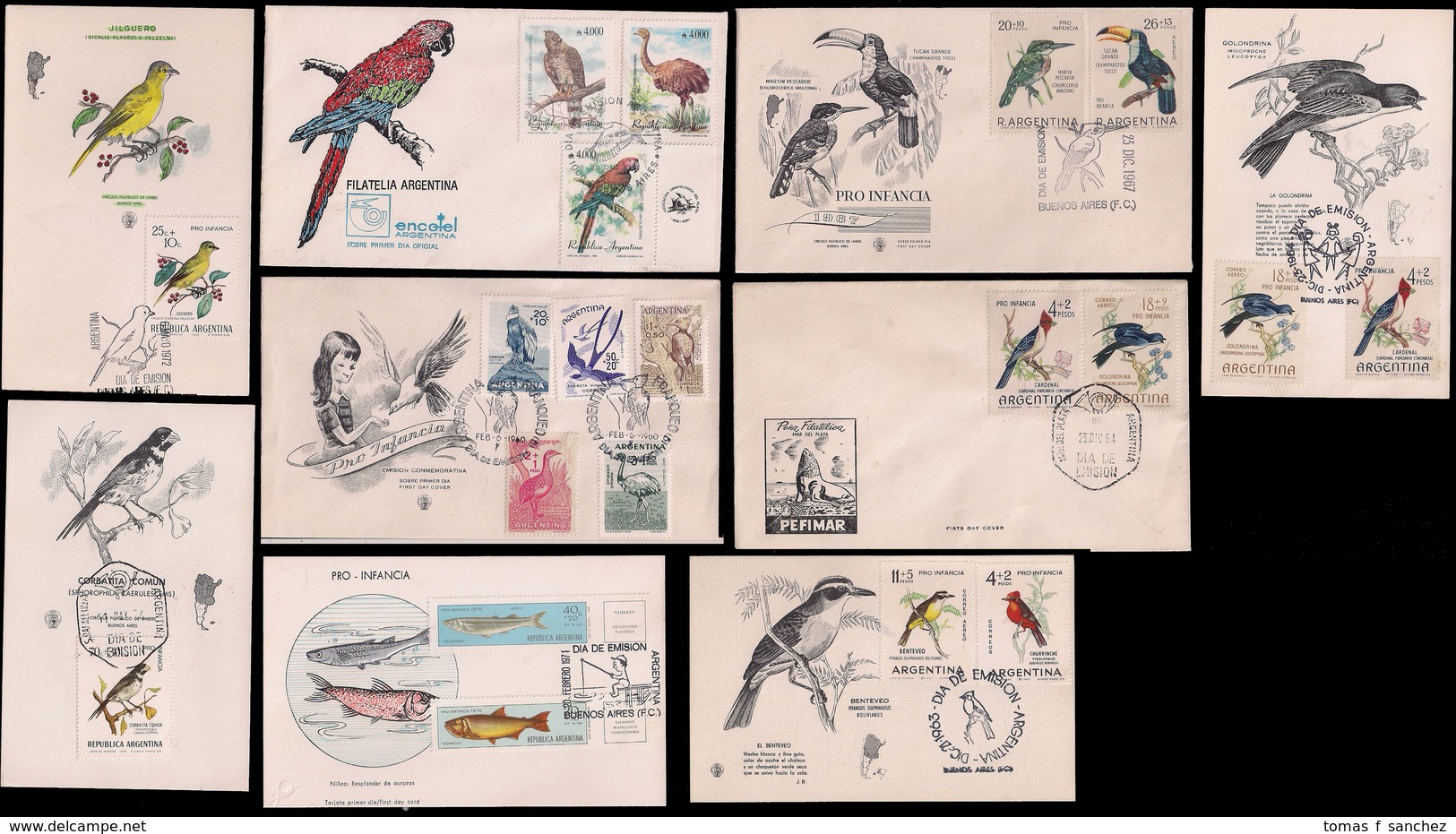 Argentina - FDC - Maximun Cartes - Oiseaux D'Argentine - Poissons - Collections, Lots & Series