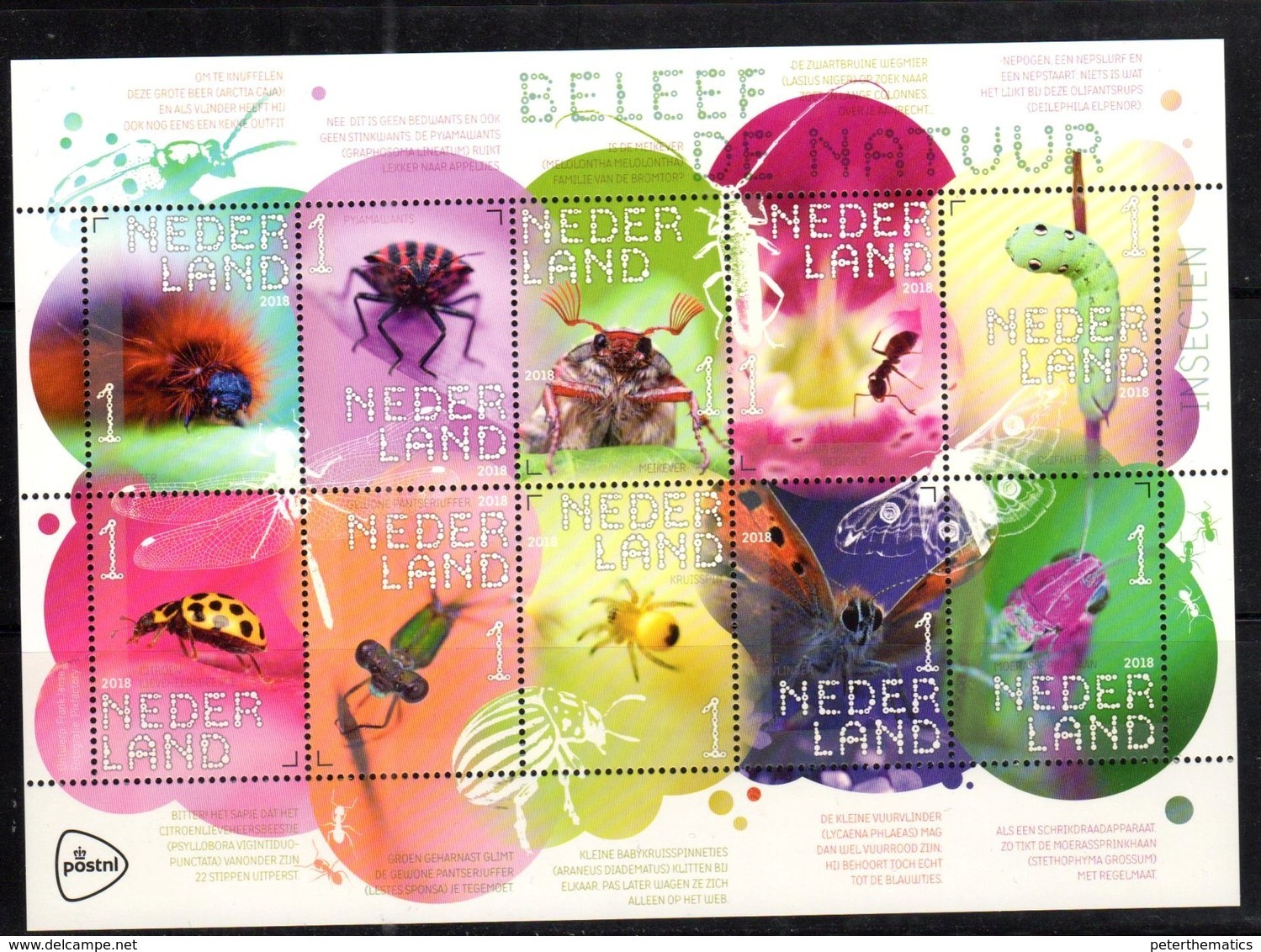 NETHERLANDS, 2018, MNH, INSECTS, BUTTERFLIES, BEETLES, ANTS, SPIDERS,   SHEETLET - Vlinders