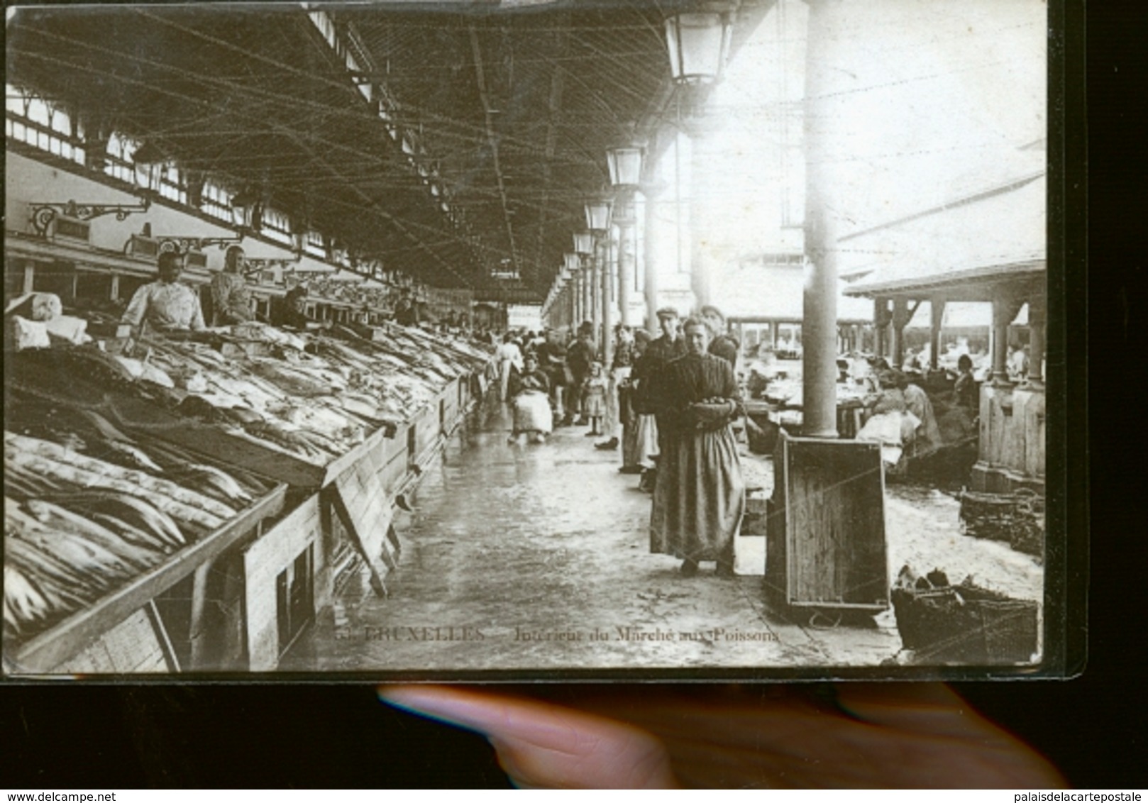 BRUXELLES MARCHE AUX POISSONS PHOTO CARTE            JLM - Markten