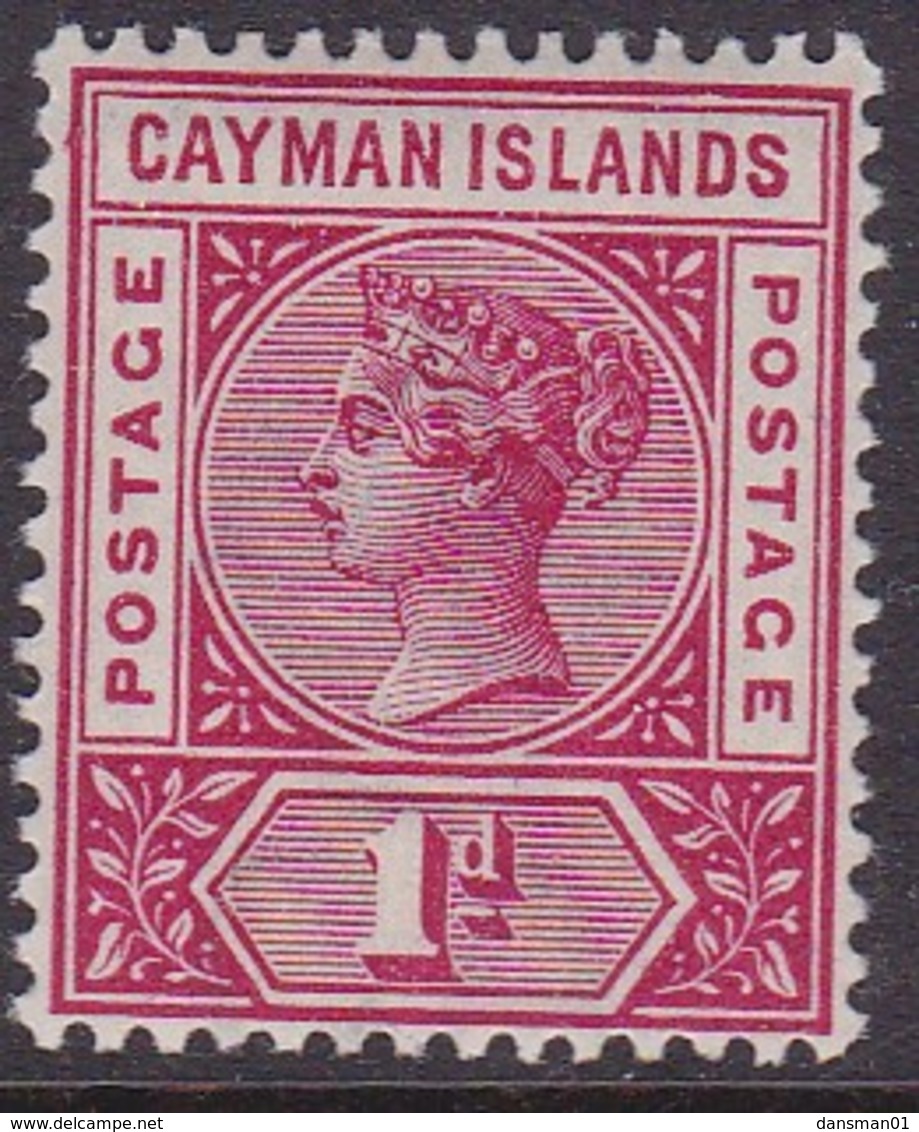 Caymen Islands 1900 SG 2 Mint Never Hinged - Iles Caïmans