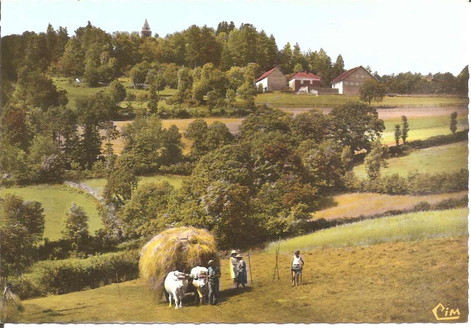 Montagne De DUN (71) Un Paysage - Les Foins , Petit Attelage  RARE CPSM  GF - Autres & Non Classés