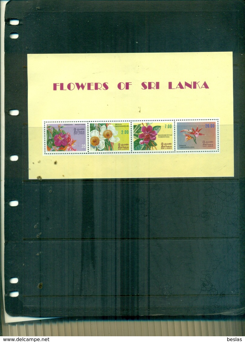 SRI LANKA FLEURS 1 BF NEUF A PARTIR DE 1 EURO - Autres & Non Classés