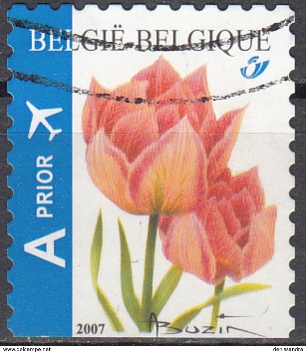 Belgique 2007 COB 3723A O Cote (2016) 2.00 Euro Tulipe Rose - Gebraucht