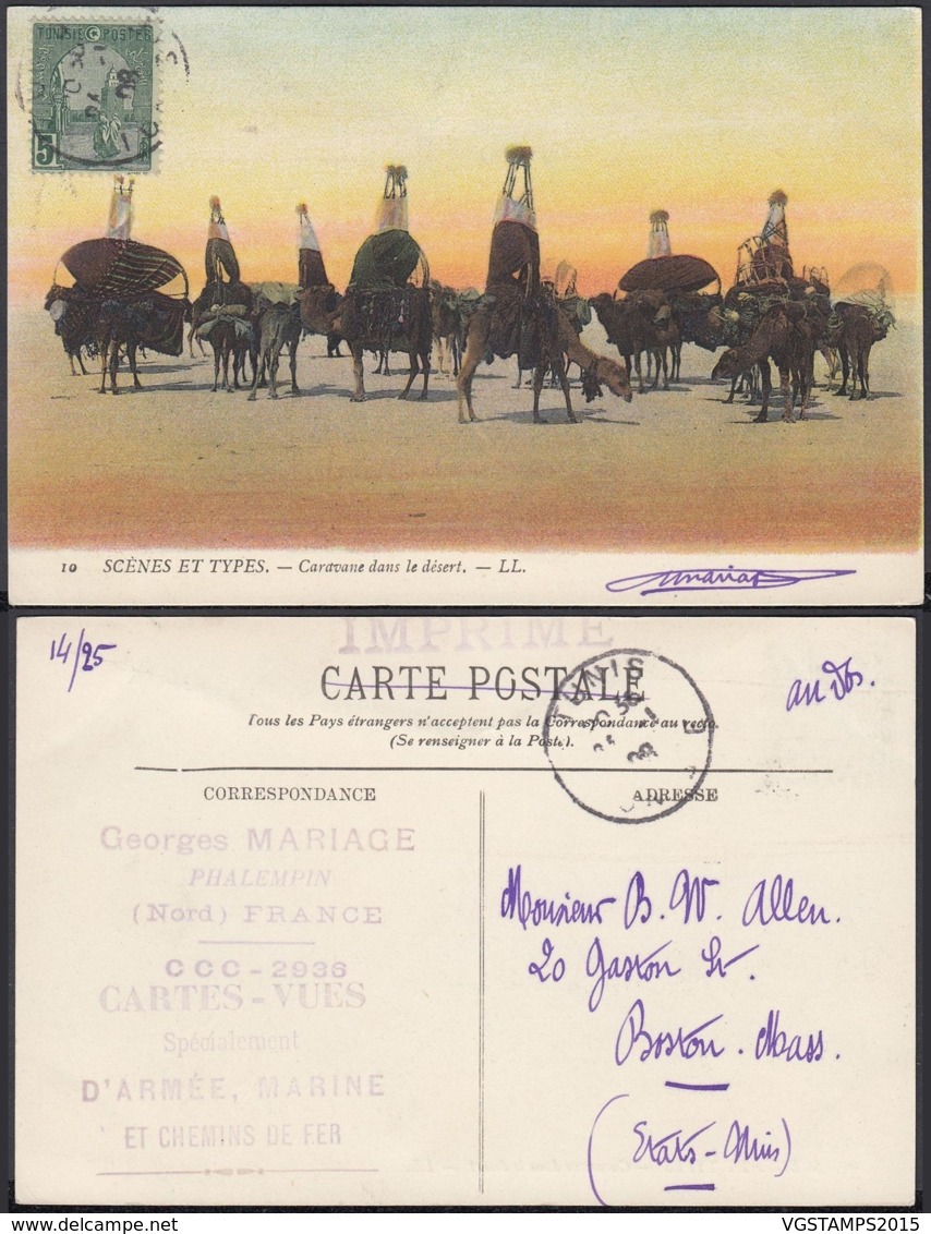 Tunisie -CP 1908 "Caravane Dans Le Désert + Chameaux " (6G20217) DC1055 - Tunisie