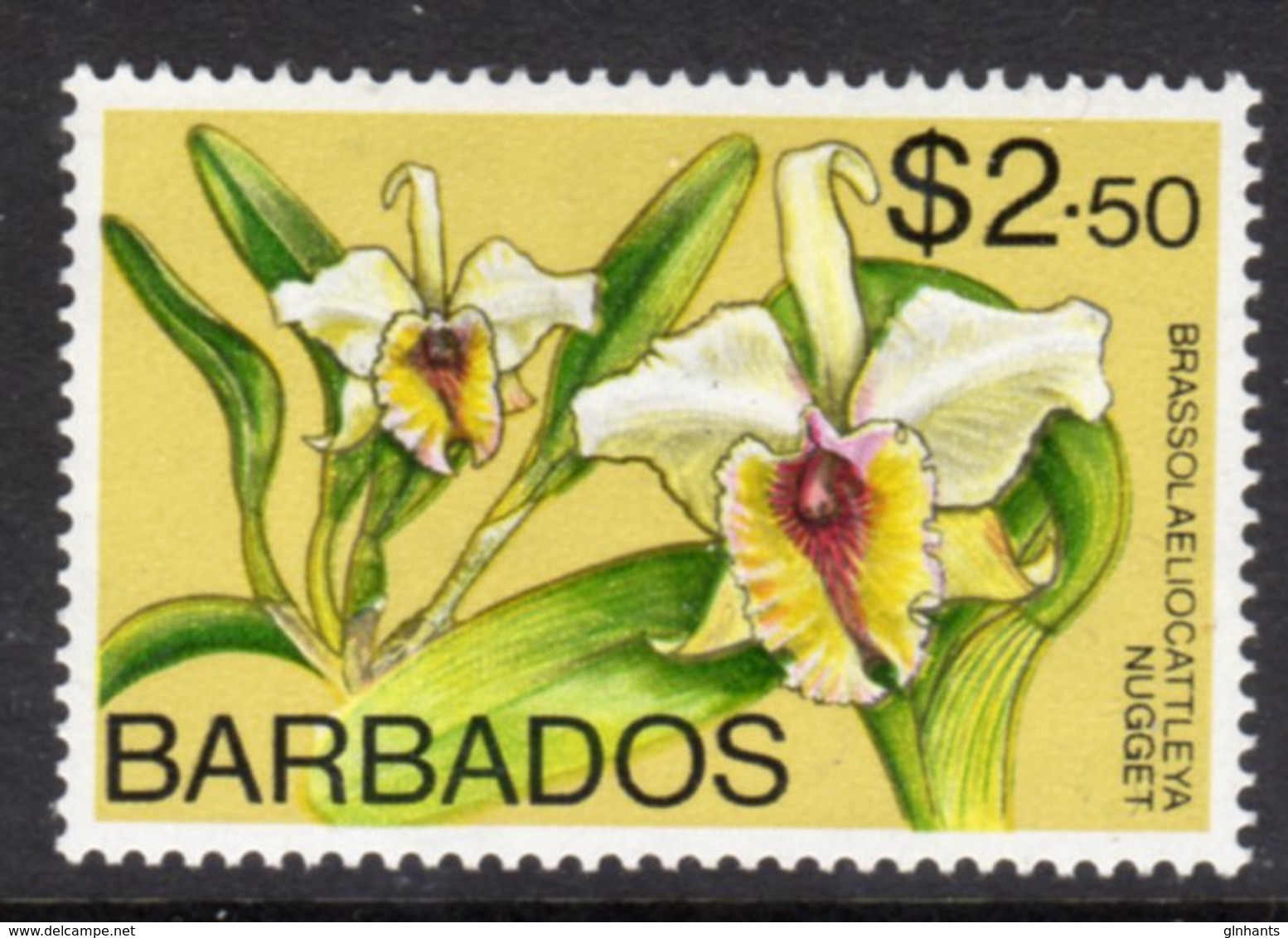 BARBADOS - 1974 $2.50 ORCHID STAMP WMK W12 S/W FINE MNH ** SG 498 - Barbados (1966-...)