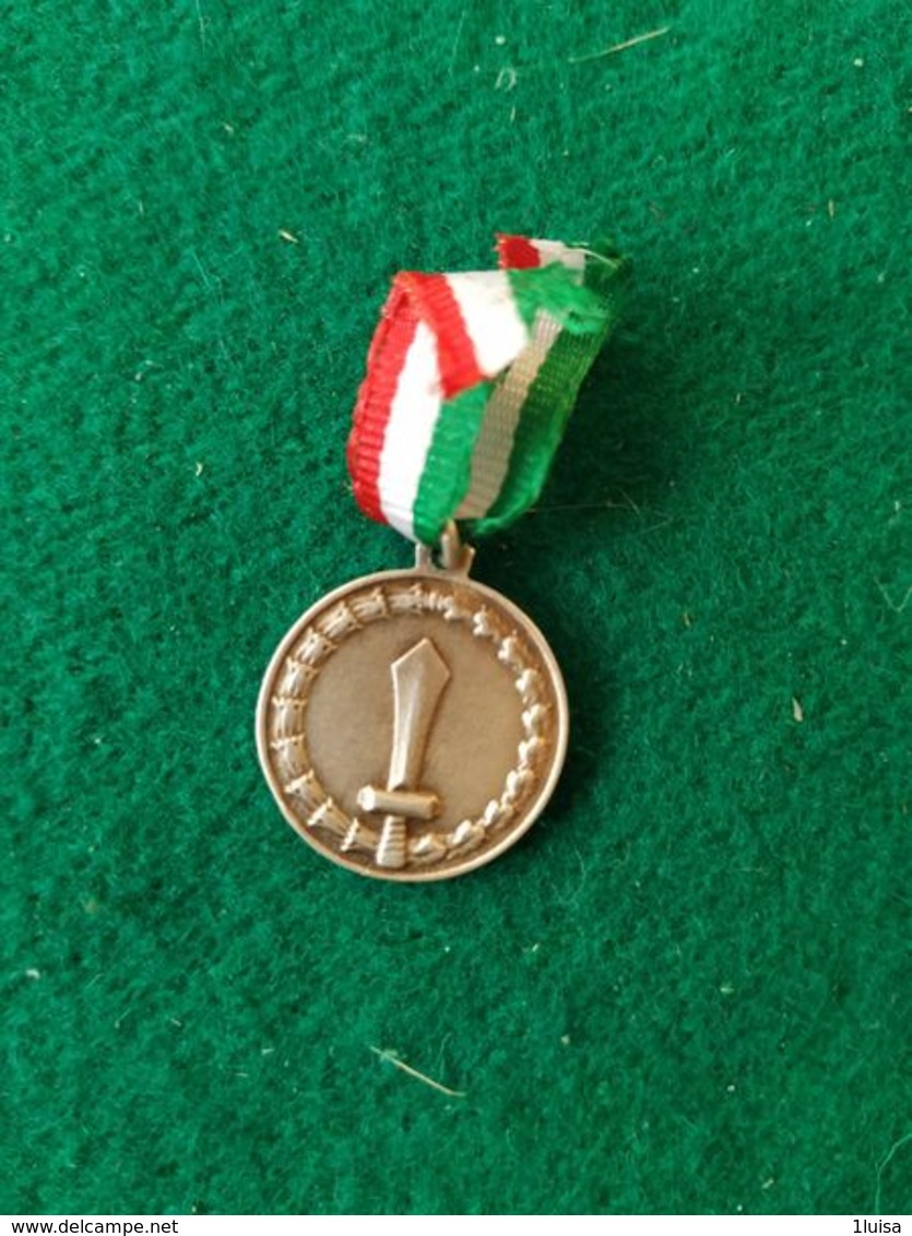 MEDAGLIA MIGNON Al Merito Di Lungo Comando - Italia