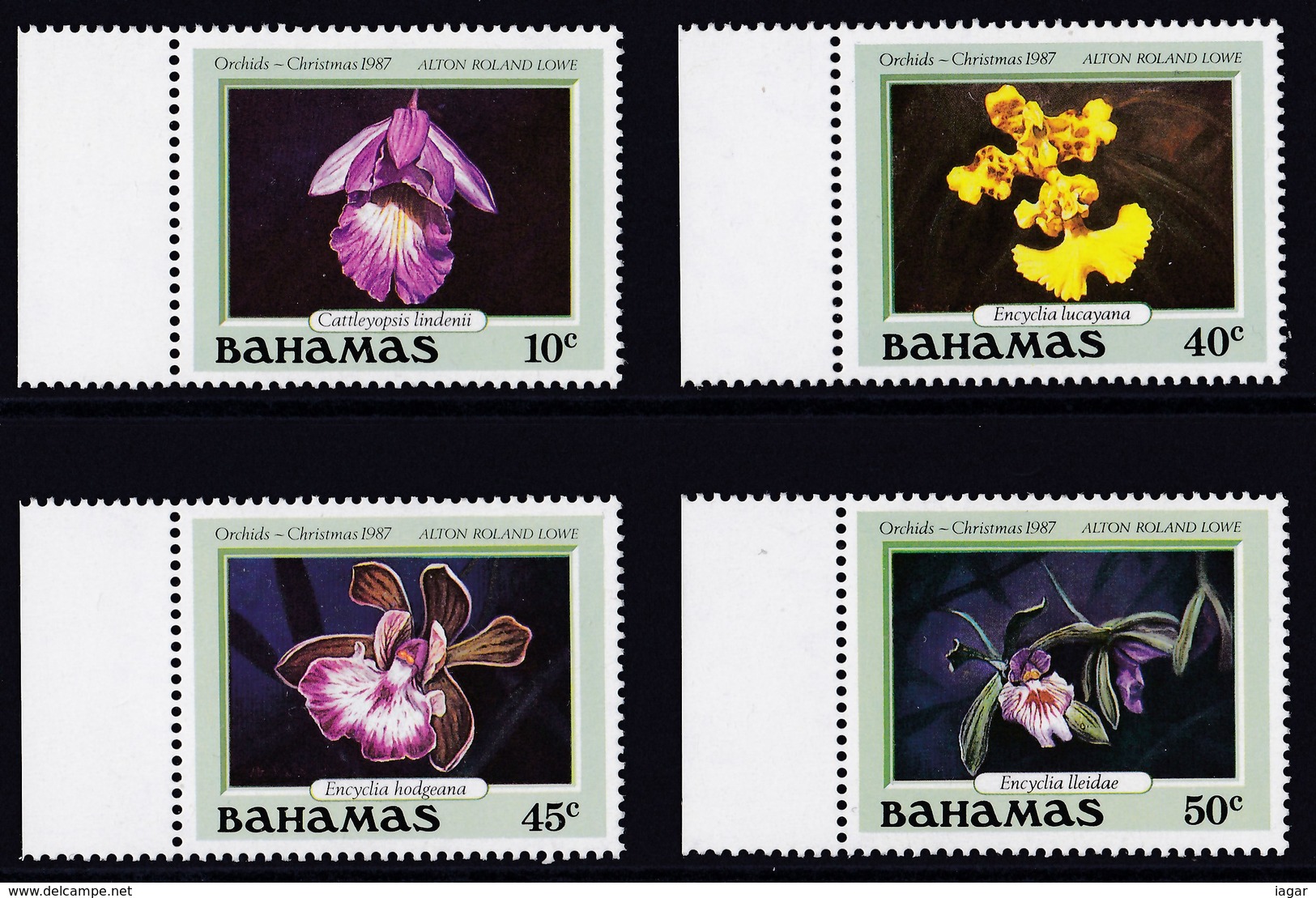 BAHAMAS 1987 ORCHIDEE NATALE - Bahamas (1973-...)