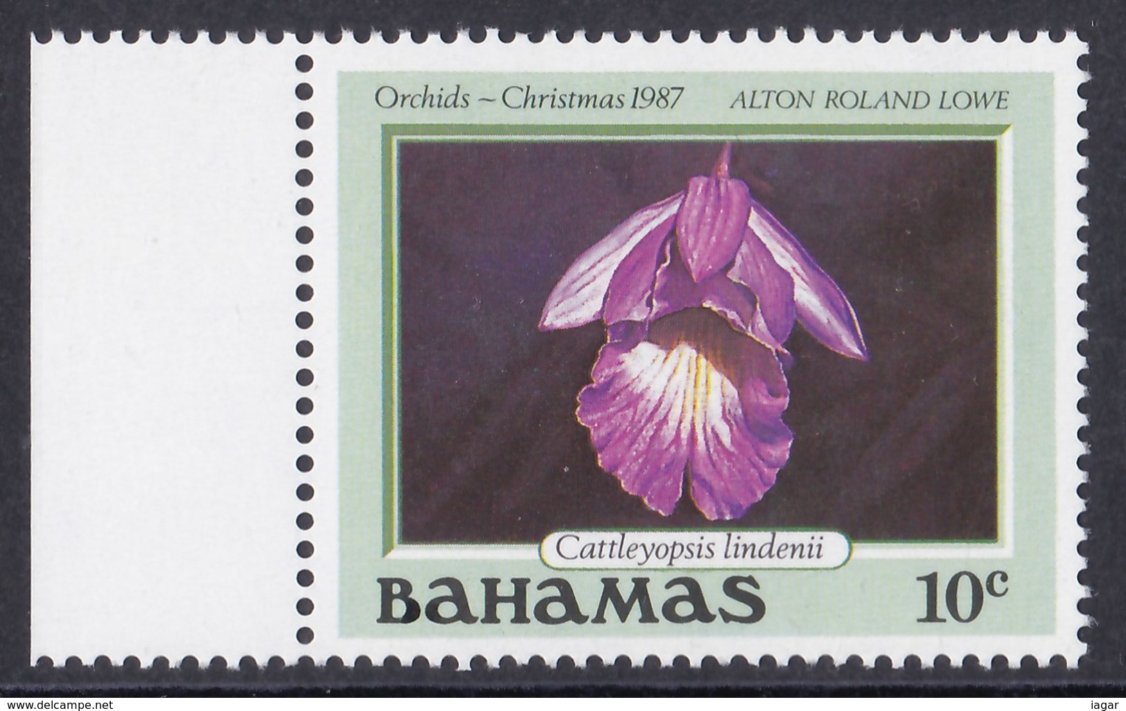 BAHAMAS 1987 ORCHIDEE NATALE - Bahamas (1973-...)