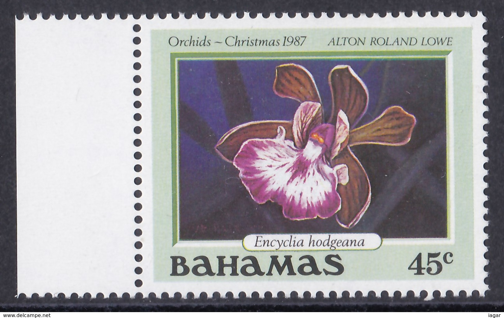 BAHAMAS 1987 ORCHIDEE NATALE - Bahamas (1973-...)