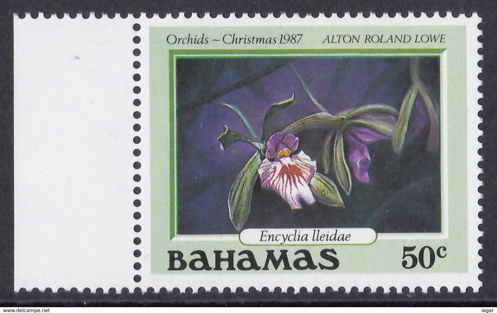 BAHAMAS 1987 ORCHIDEE NATALE - Bahamas (1973-...)