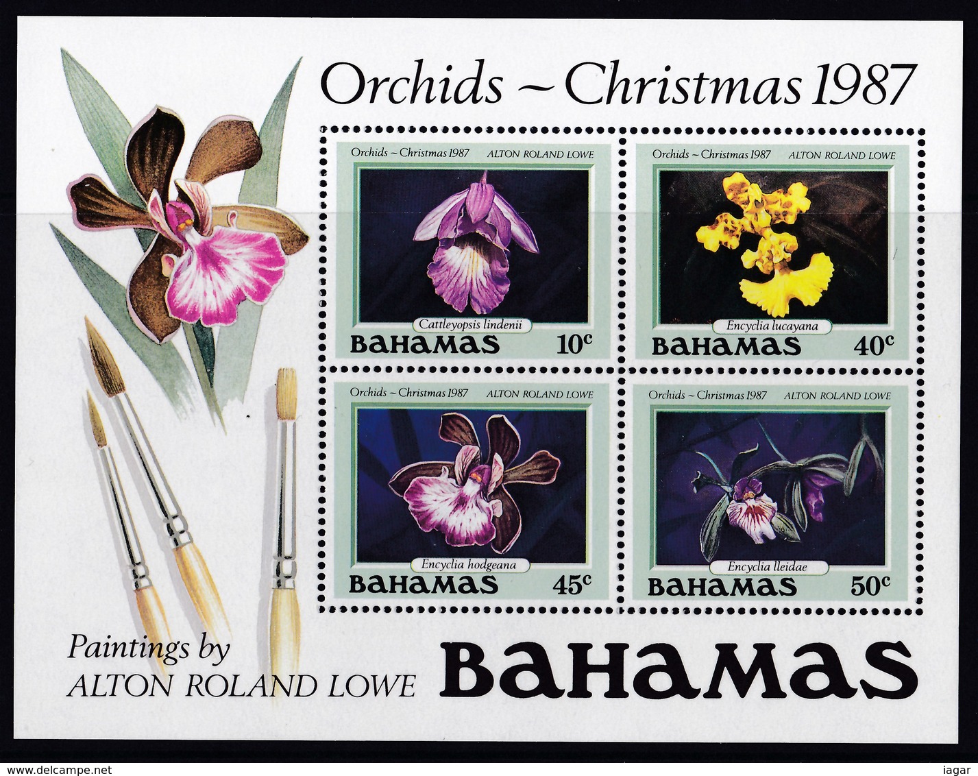 BAHAMAS 1987 ORCHIDEE NATALE - Bahamas (1973-...)