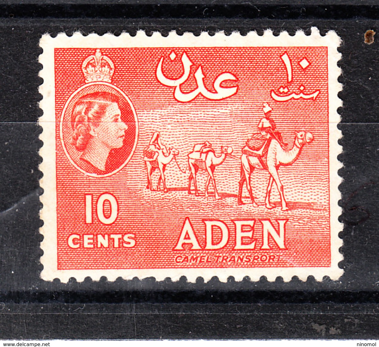 Aden  -  1953. Carovana Di Cammelli. Caravan Of Camels. MNH - Altri & Non Classificati