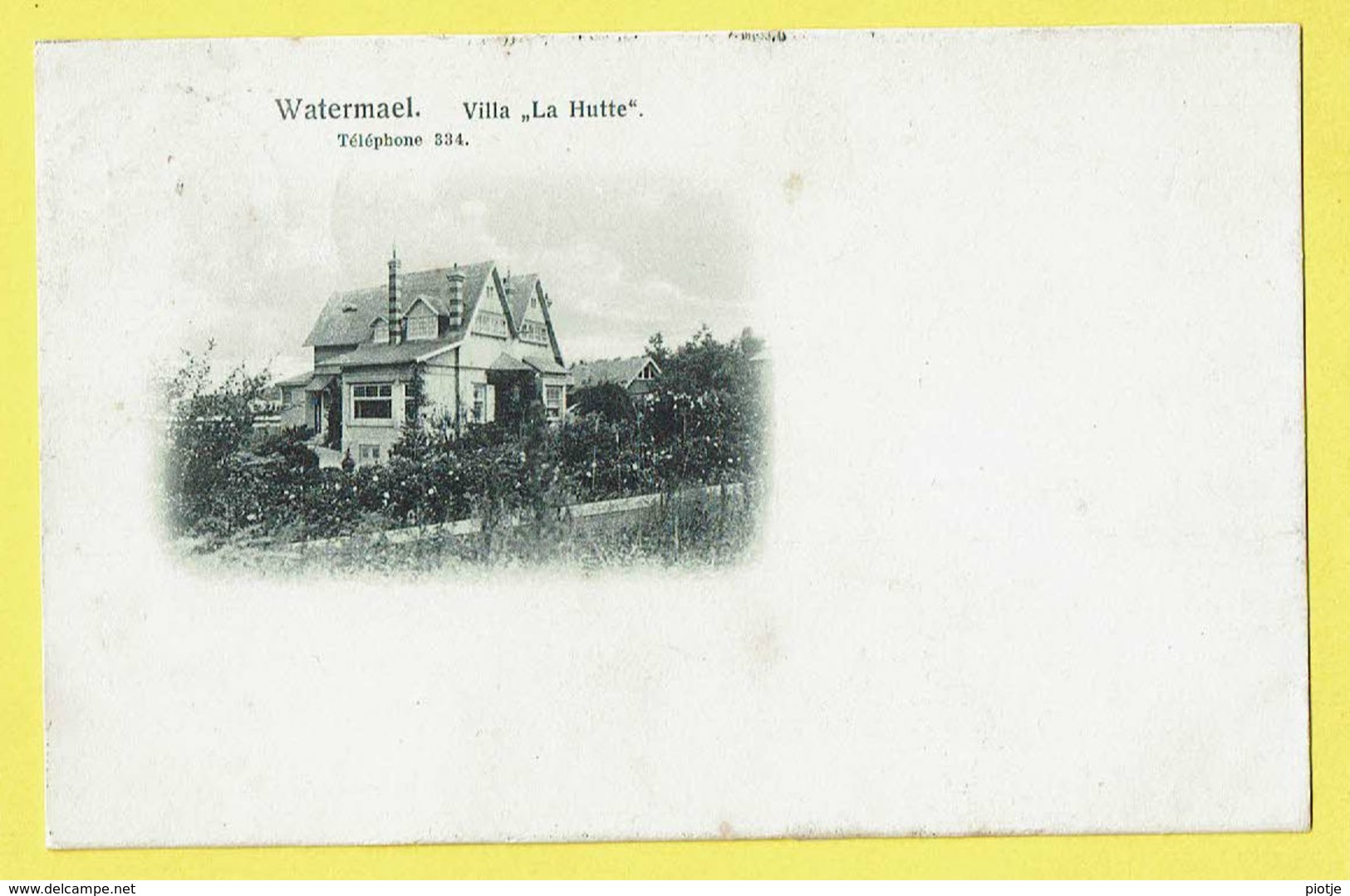 * Watermaal Bosvoorde - Watermael Boitsfort (Bruxelles - Brussel) * Villa La Hutte, Téléphone 334, Chateau, TOP, Unique - Watermael-Boitsfort - Watermaal-Bosvoorde